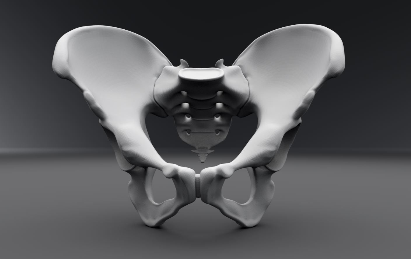 Human pelvis Realistic Articulated 3D print model_1