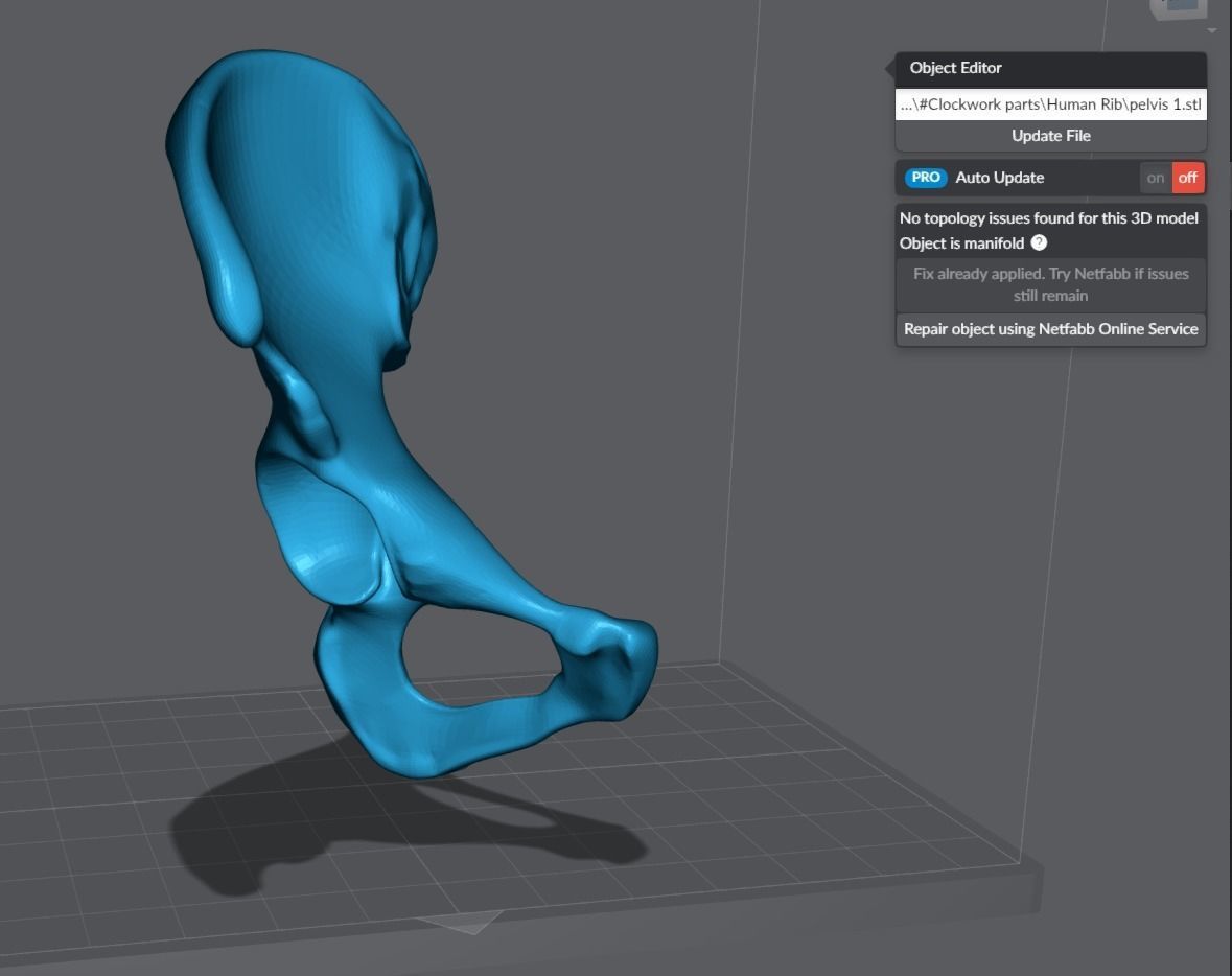 Human pelvis Realistic Articulated 3D print model_5