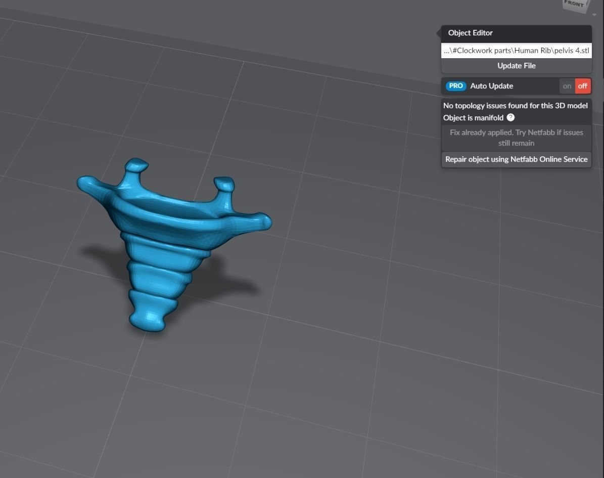 Human pelvis Realistic Articulated 3D print model_7