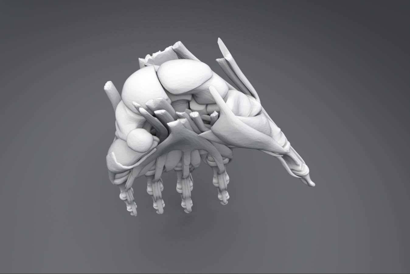 Human Hand Muscles 3D print model_3