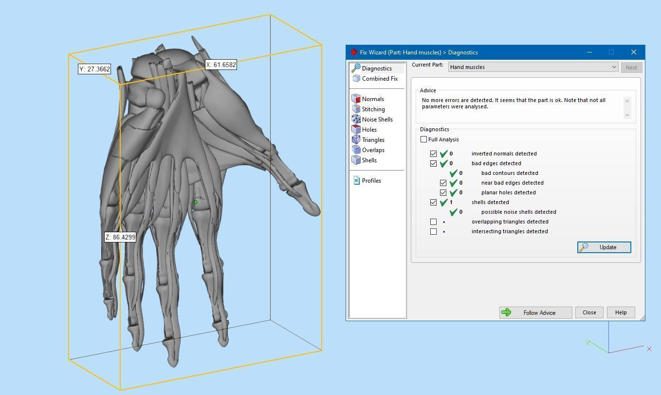 Human Hand Muscles 3D print model_5