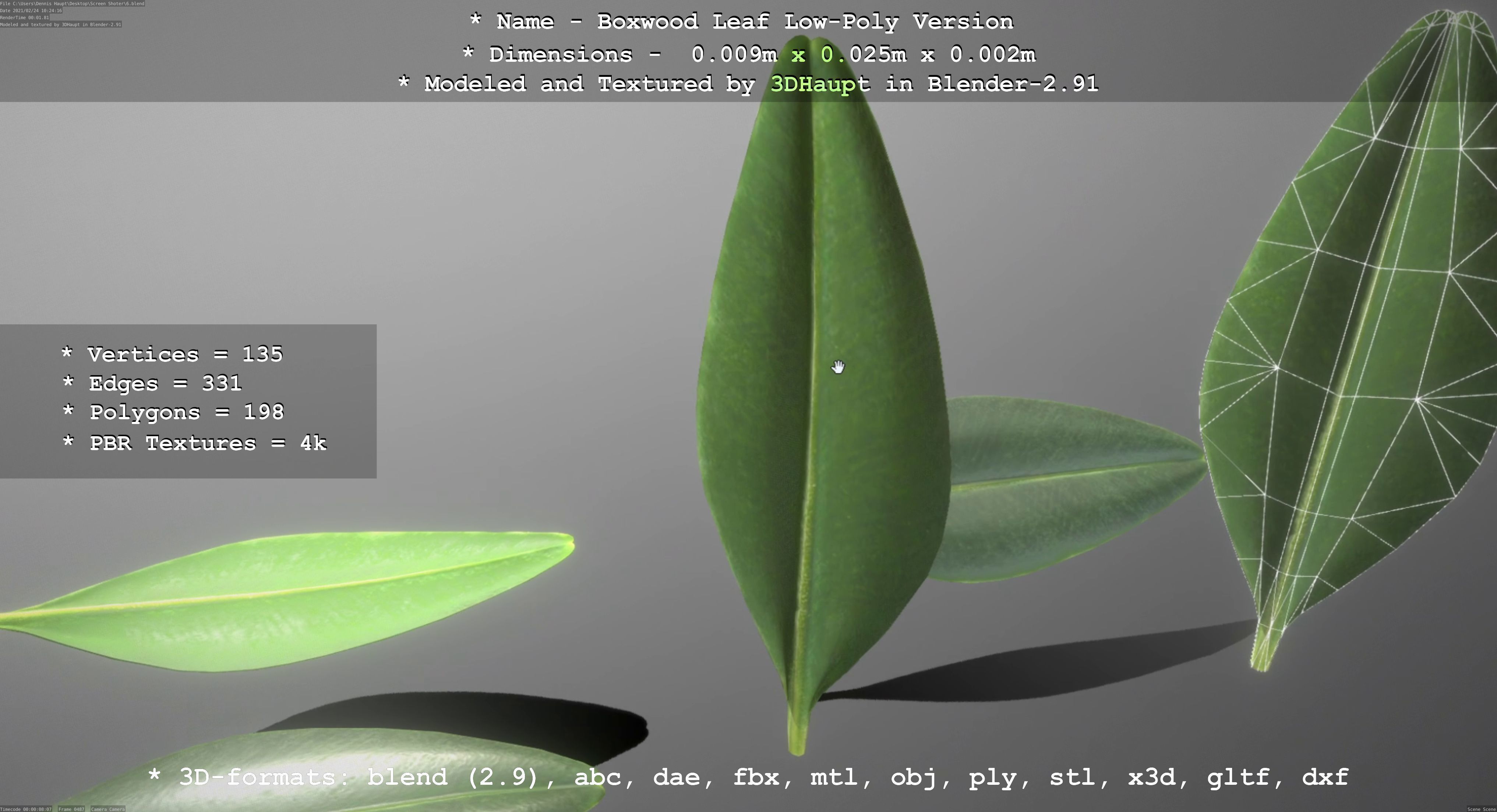 Boxwood Leaf Low-Poly Version Low-poly 3D model_64