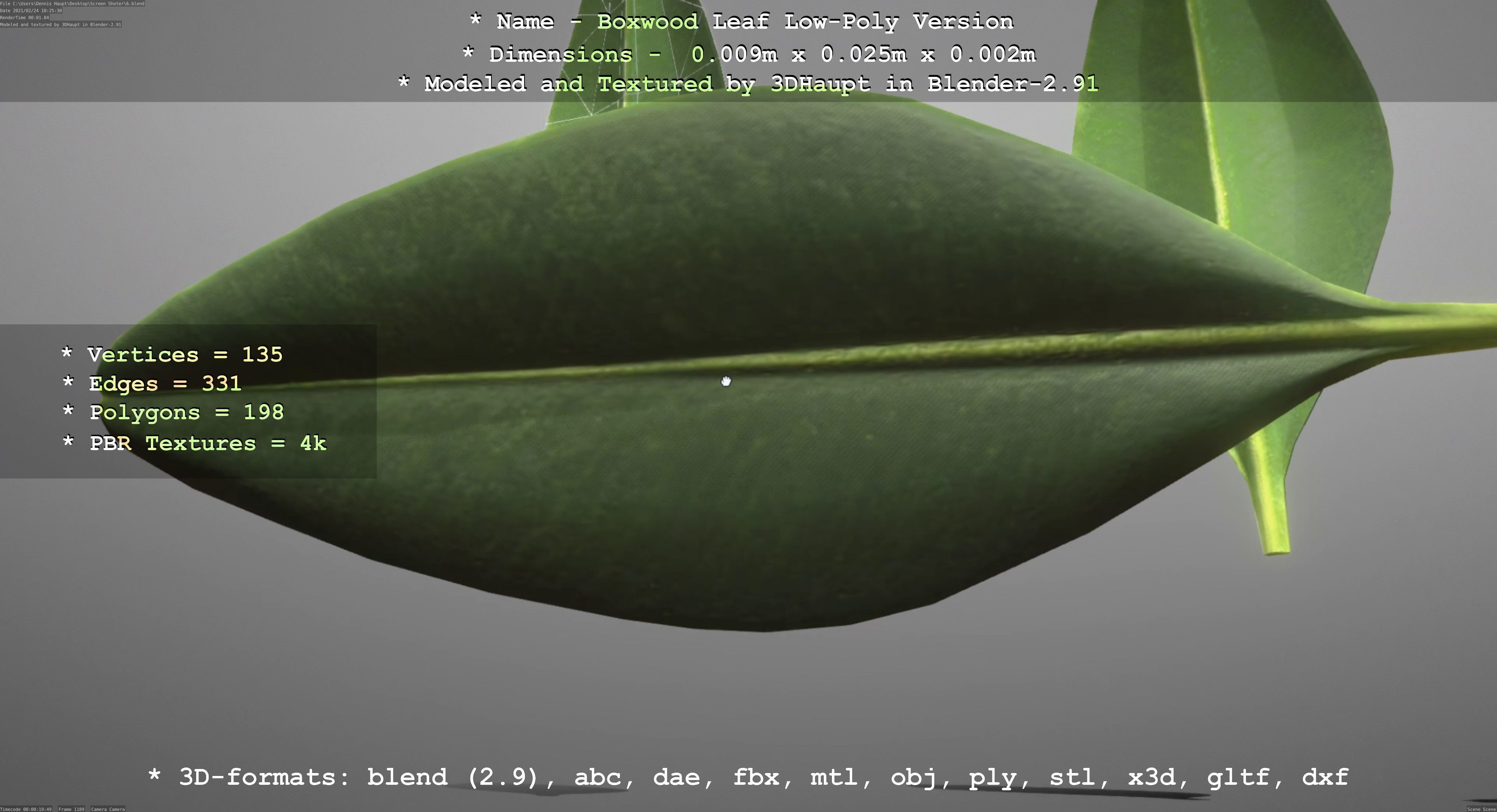 Boxwood Leaf Low-Poly Version Low-poly 3D model_89