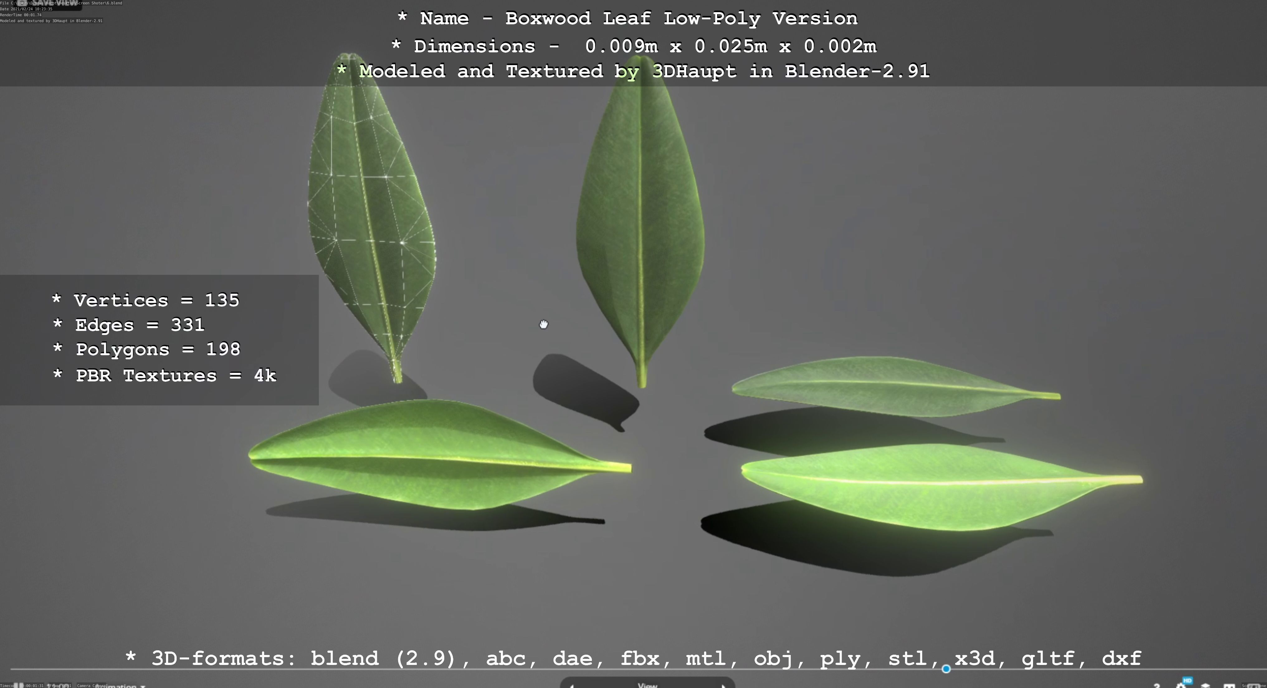Boxwood Leaf Low-Poly Version Low-poly 3D model_47