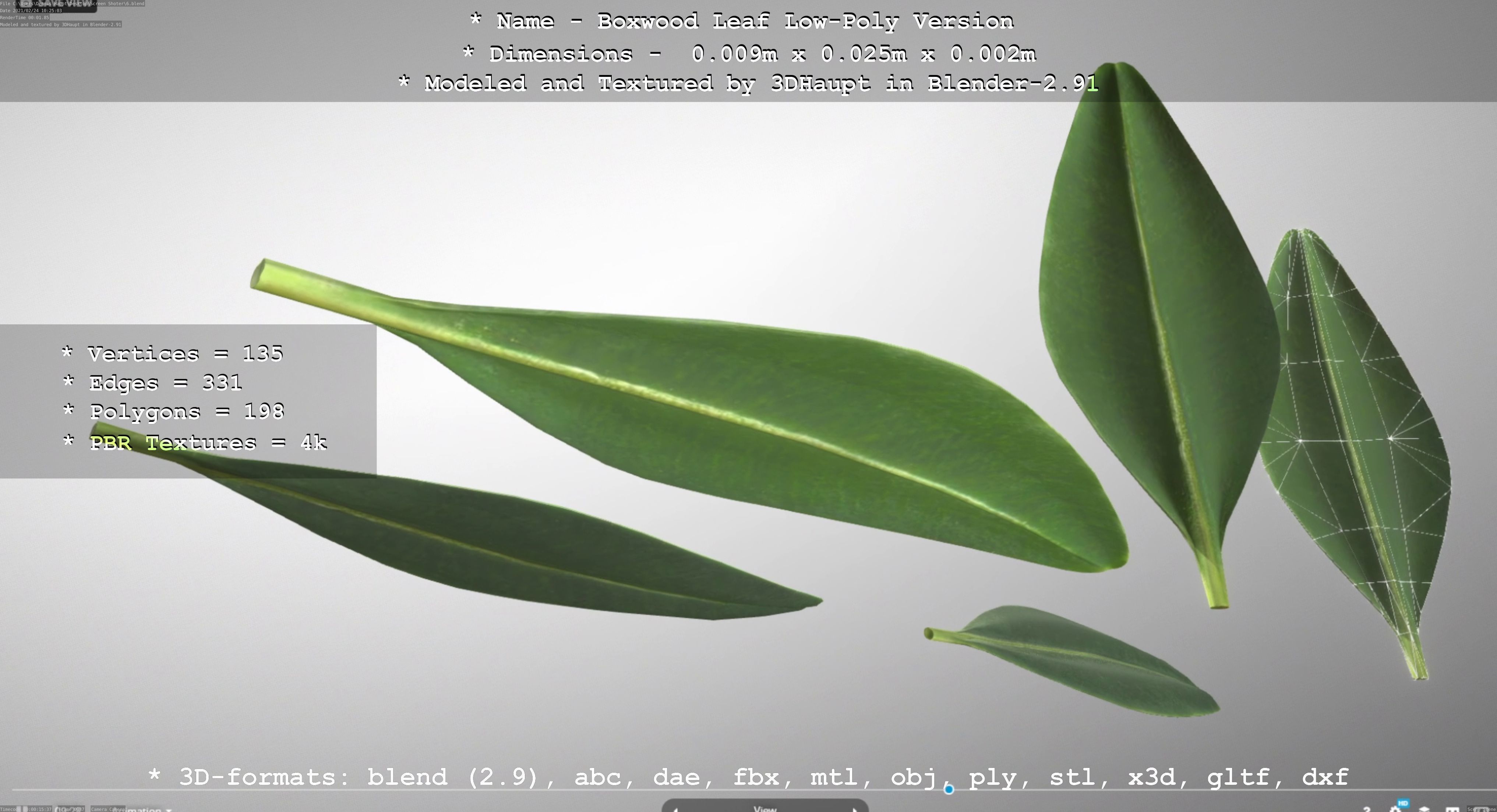 Boxwood Leaf Low-Poly Version Low-poly 3D model_79