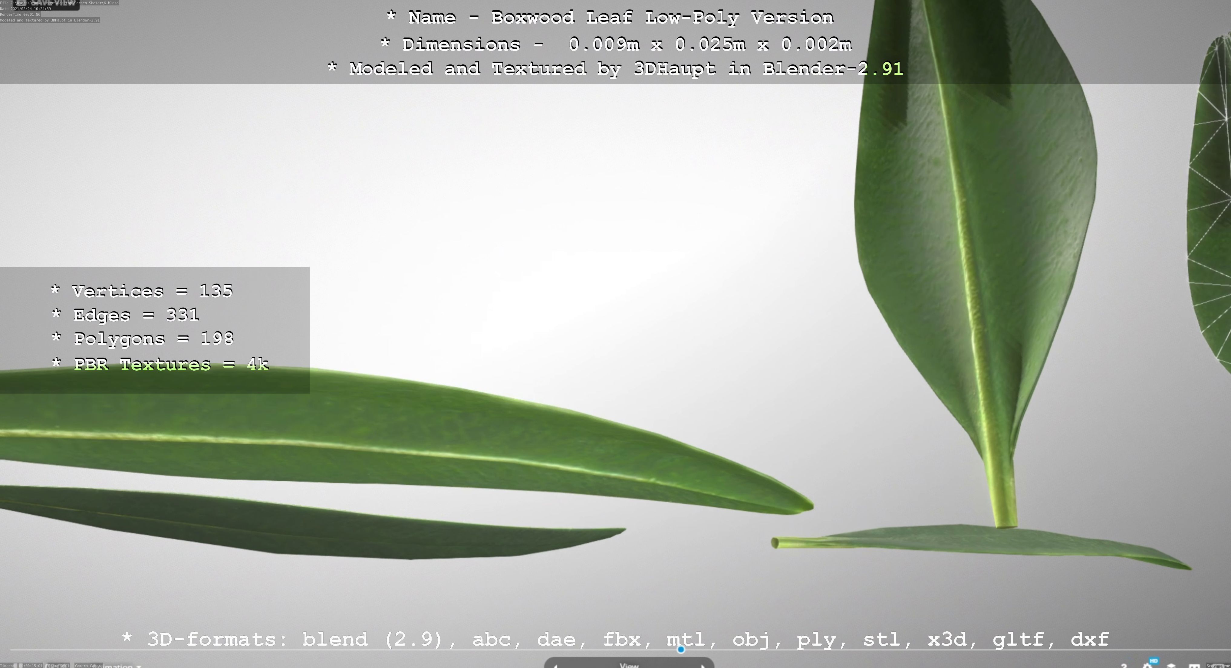 Boxwood Leaf Low-Poly Version Low-poly 3D model_78