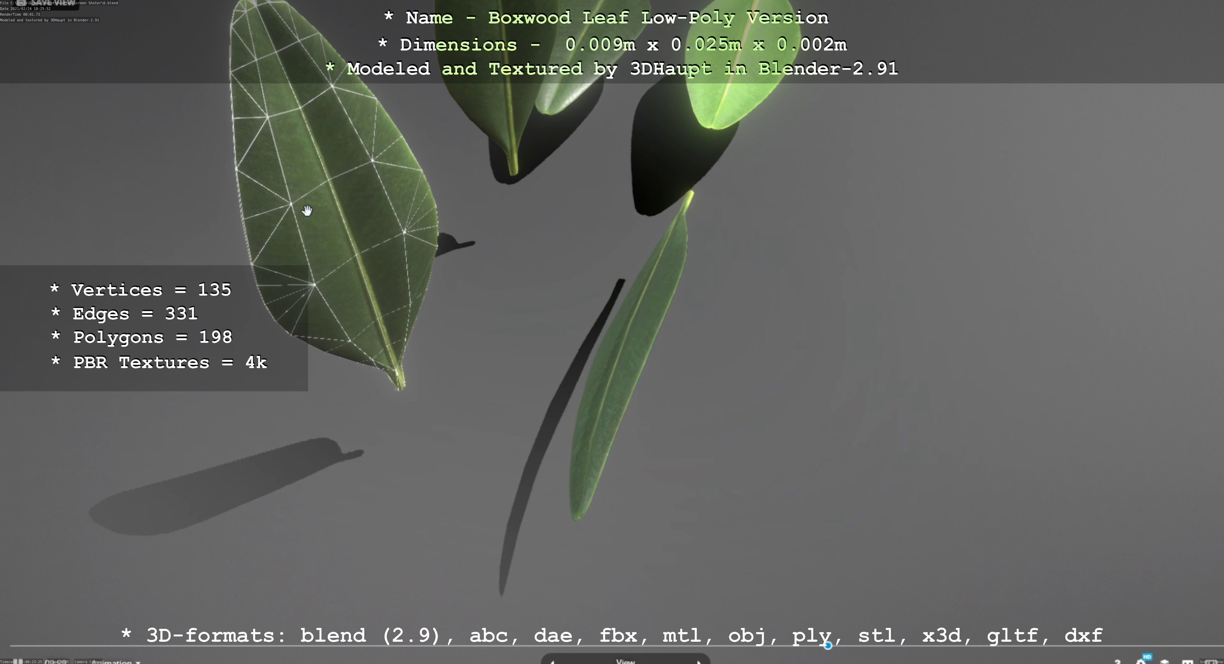 Boxwood Leaf Low-Poly Version Low-poly 3D model_57