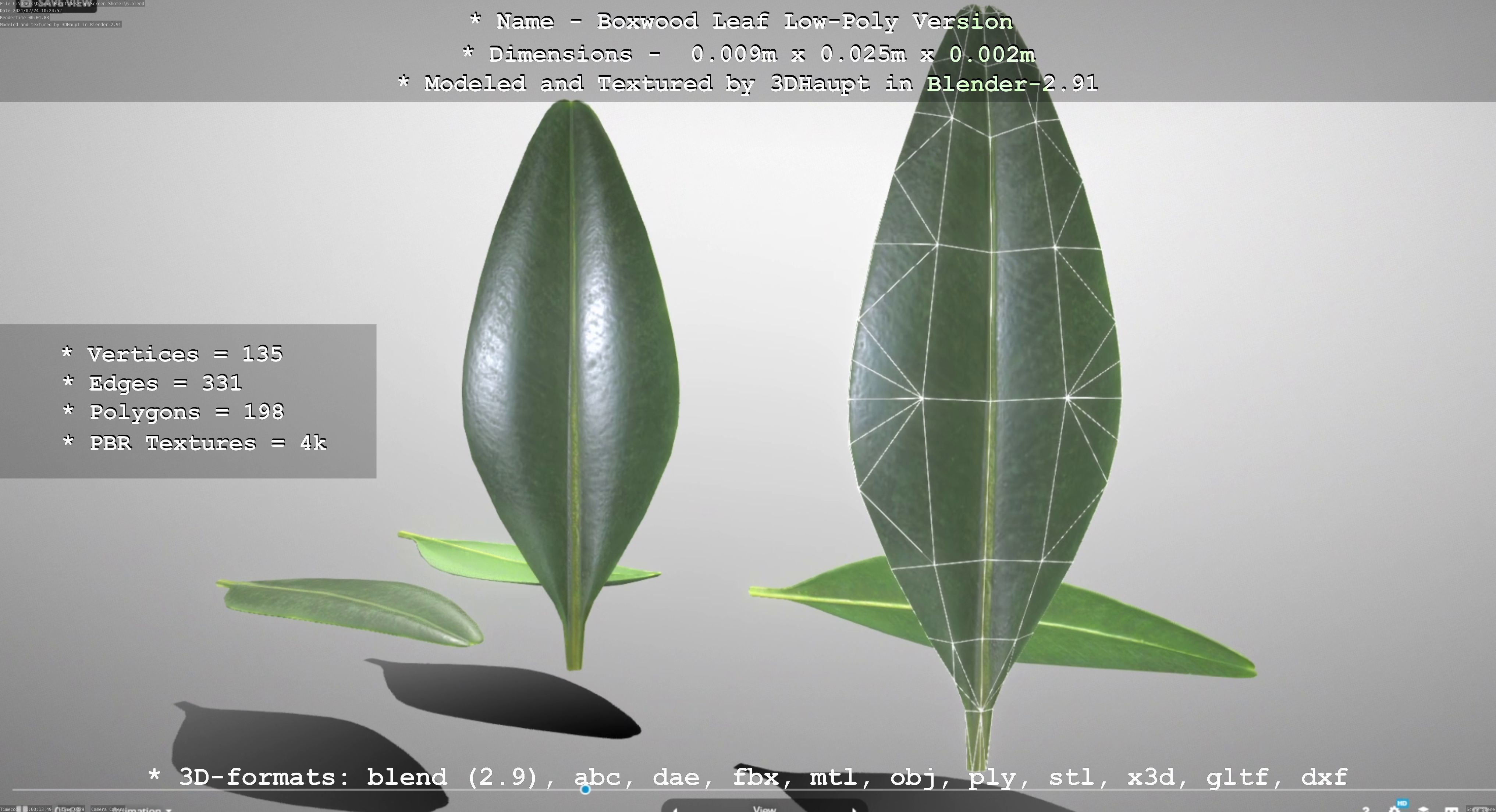 Boxwood Leaf Low-Poly Version Low-poly 3D model_75