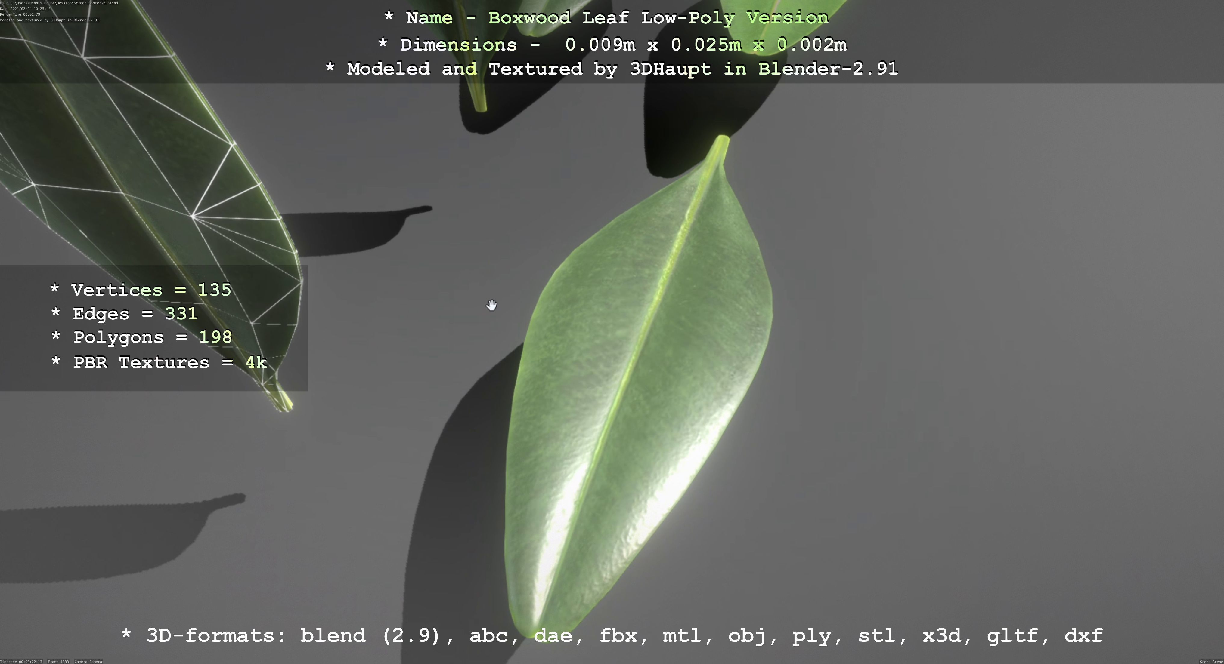 Boxwood Leaf Low-Poly Version Low-poly 3D model_12