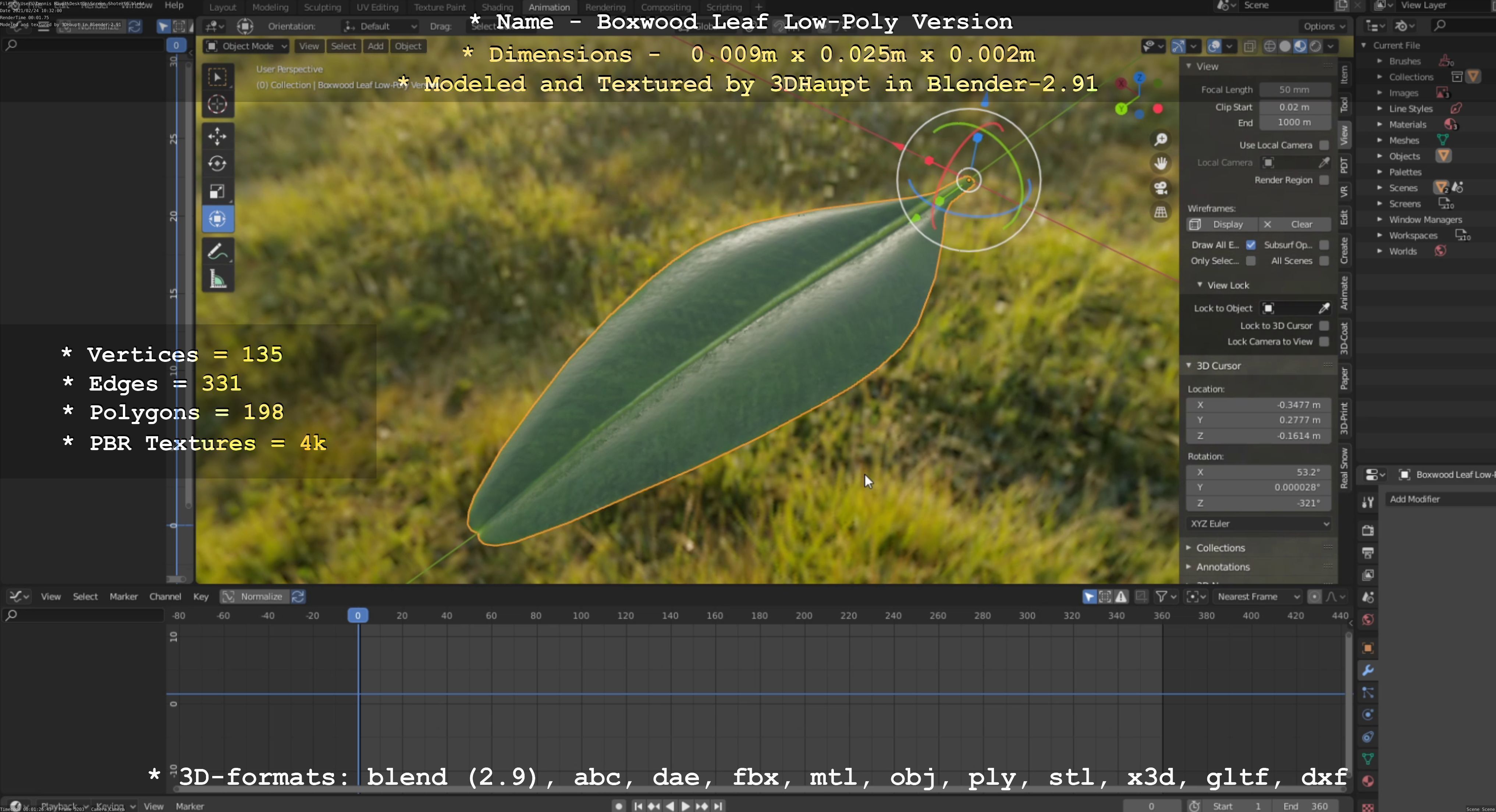 Boxwood Leaf Low-Poly Version Low-poly 3D model_39