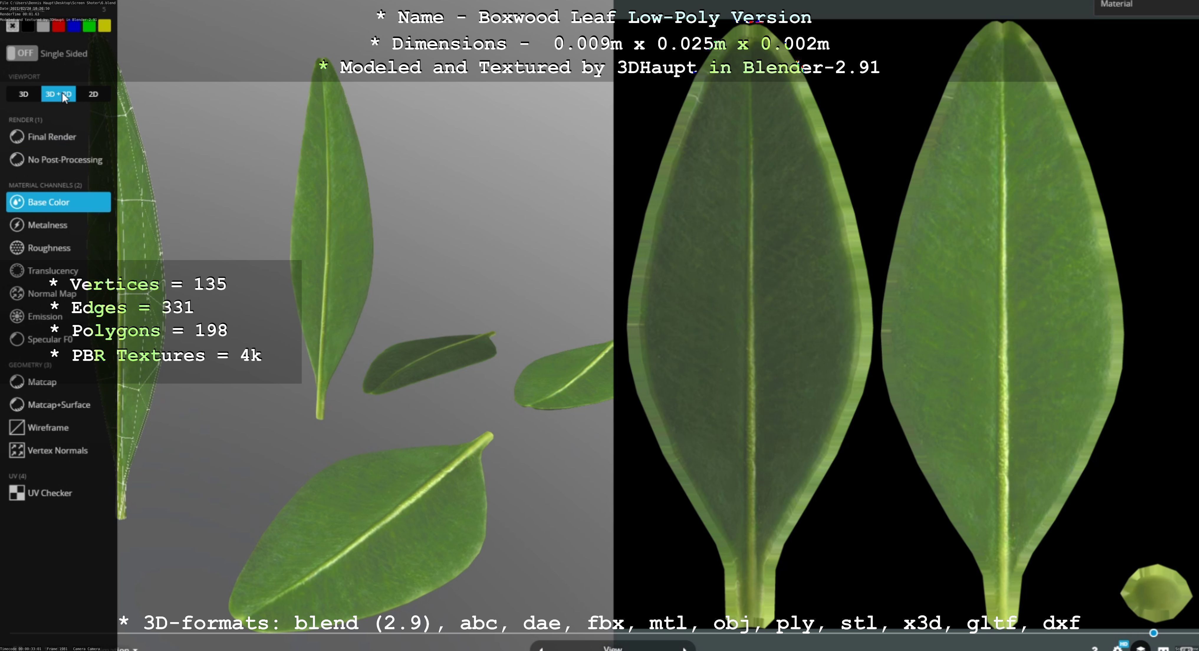 Boxwood Leaf Low-Poly Version Low-poly 3D model_20