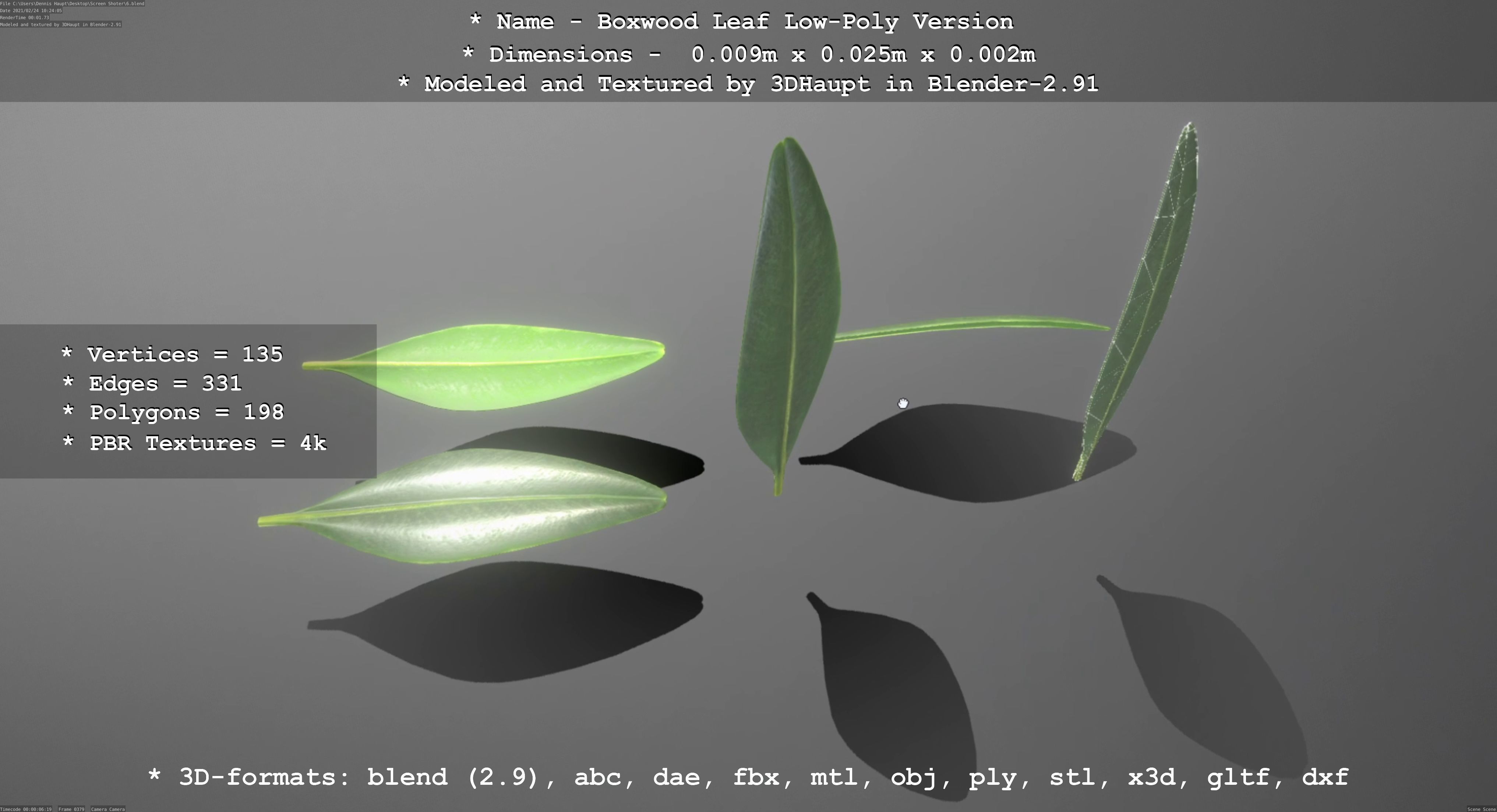 Boxwood Leaf Low-Poly Version Low-poly 3D model_55