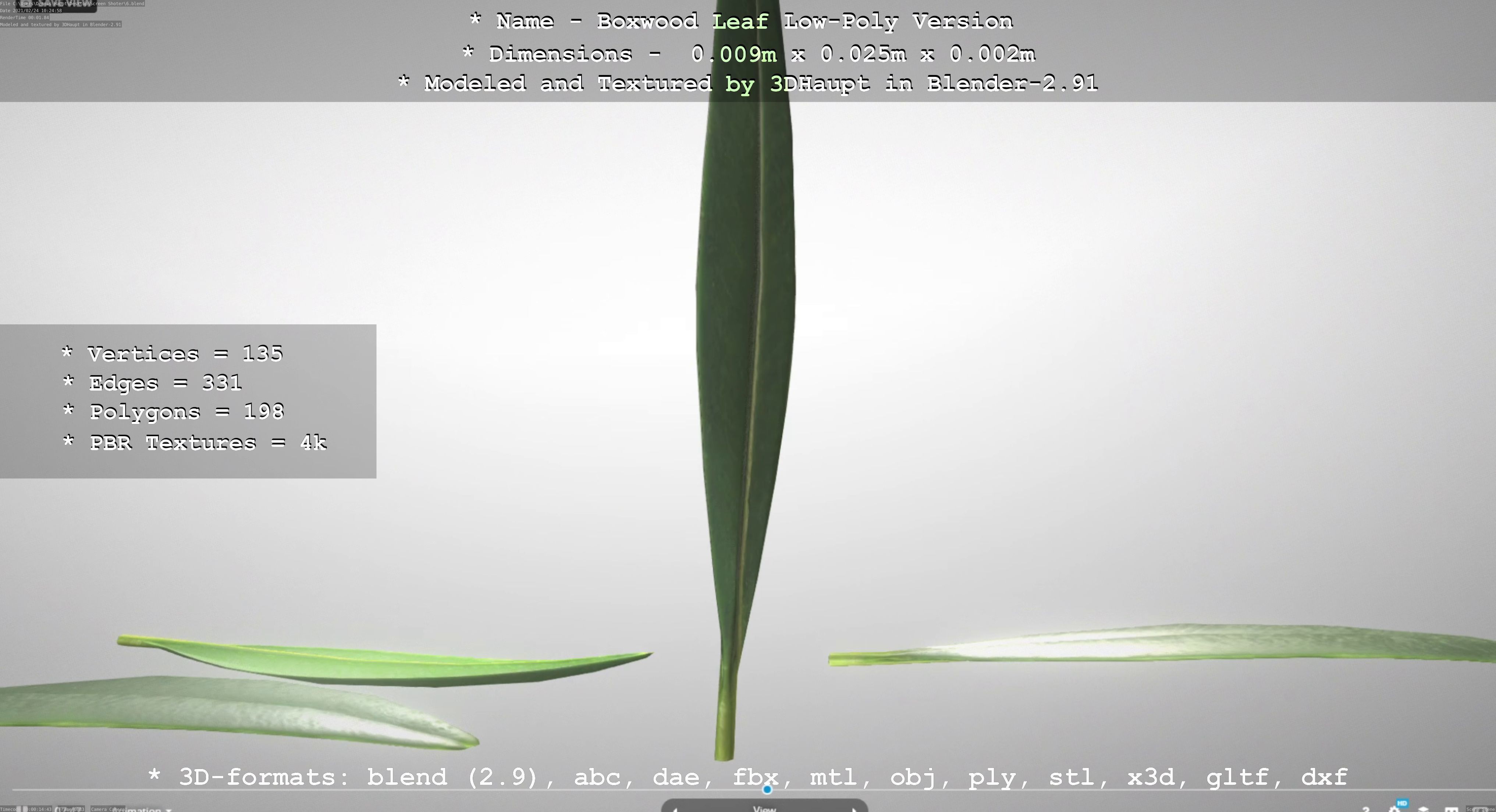 Boxwood Leaf Low-Poly Version Low-poly 3D model_77