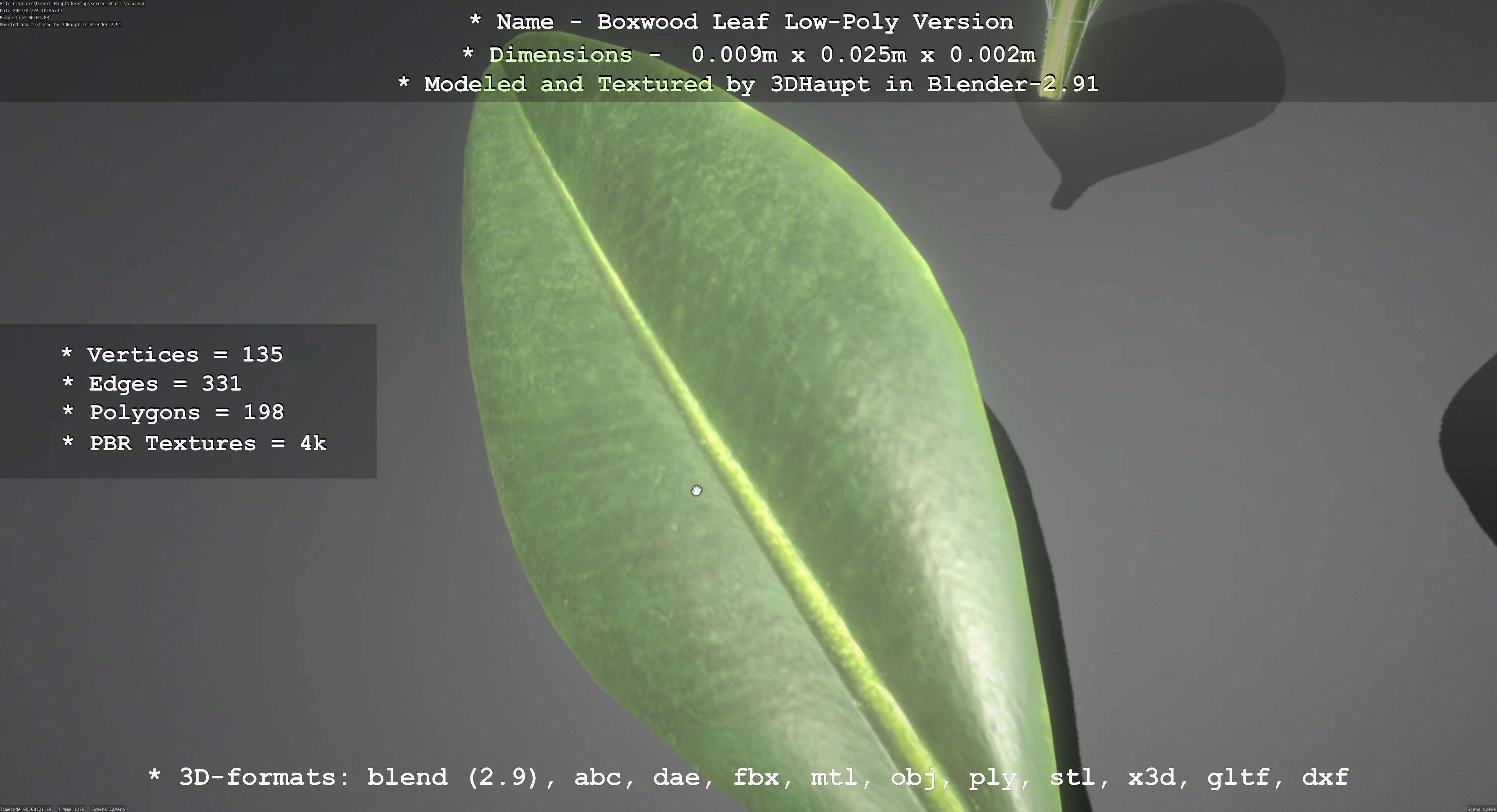 Boxwood Leaf Low-Poly Version Low-poly 3D model_94