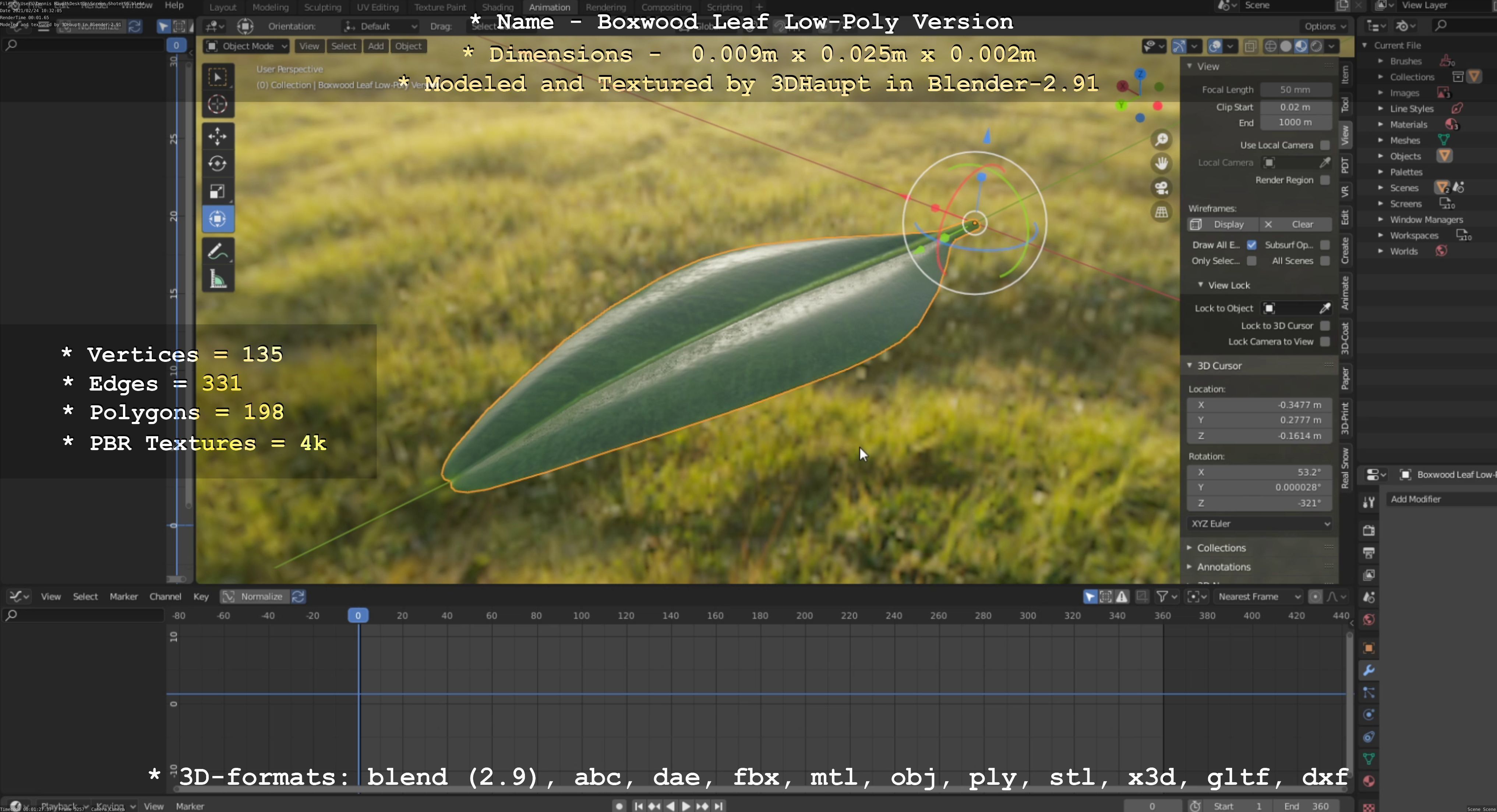 Boxwood Leaf Low-Poly Version Low-poly 3D model_42