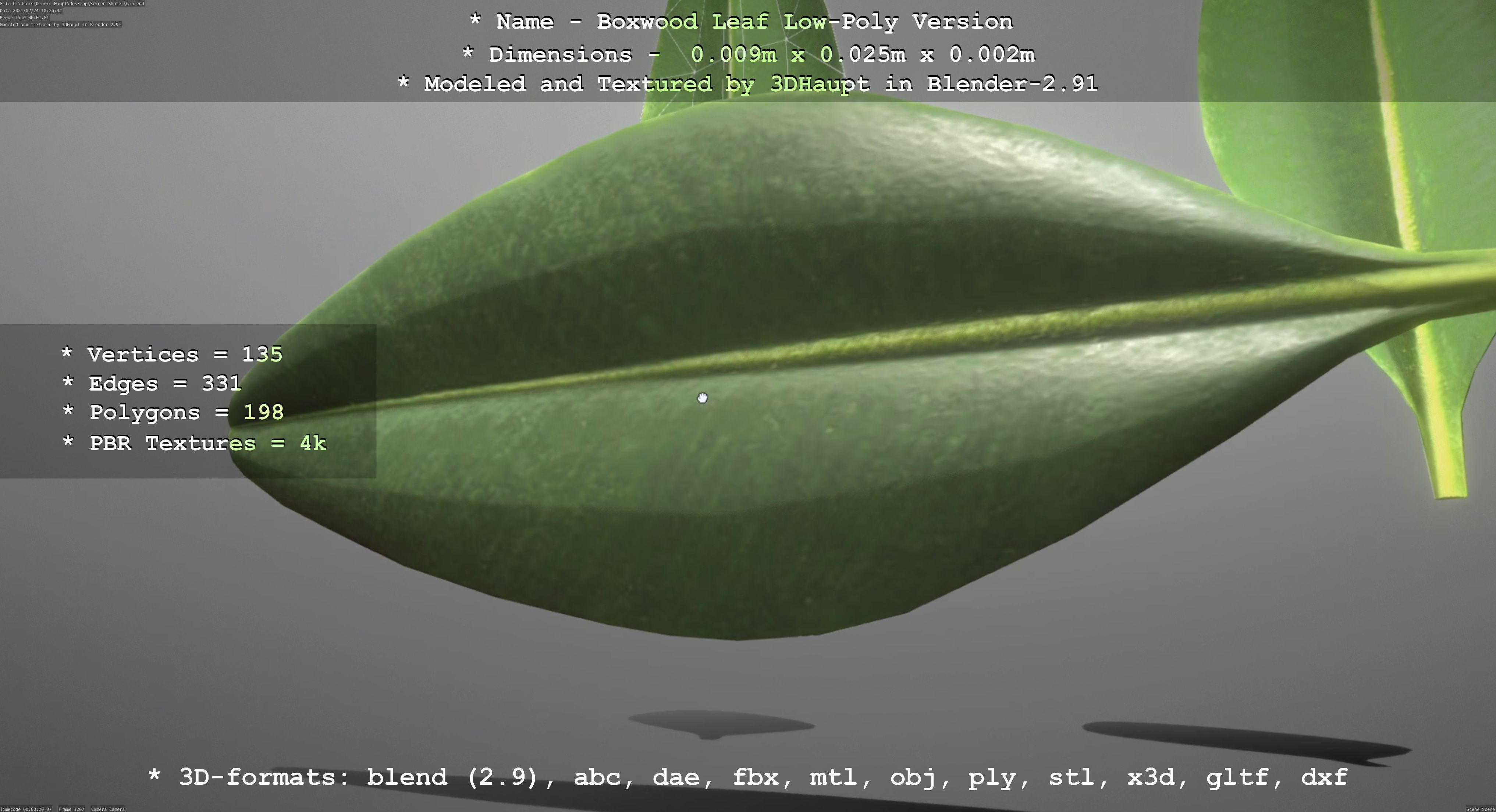 Boxwood Leaf Low-Poly Version Low-poly 3D model_90