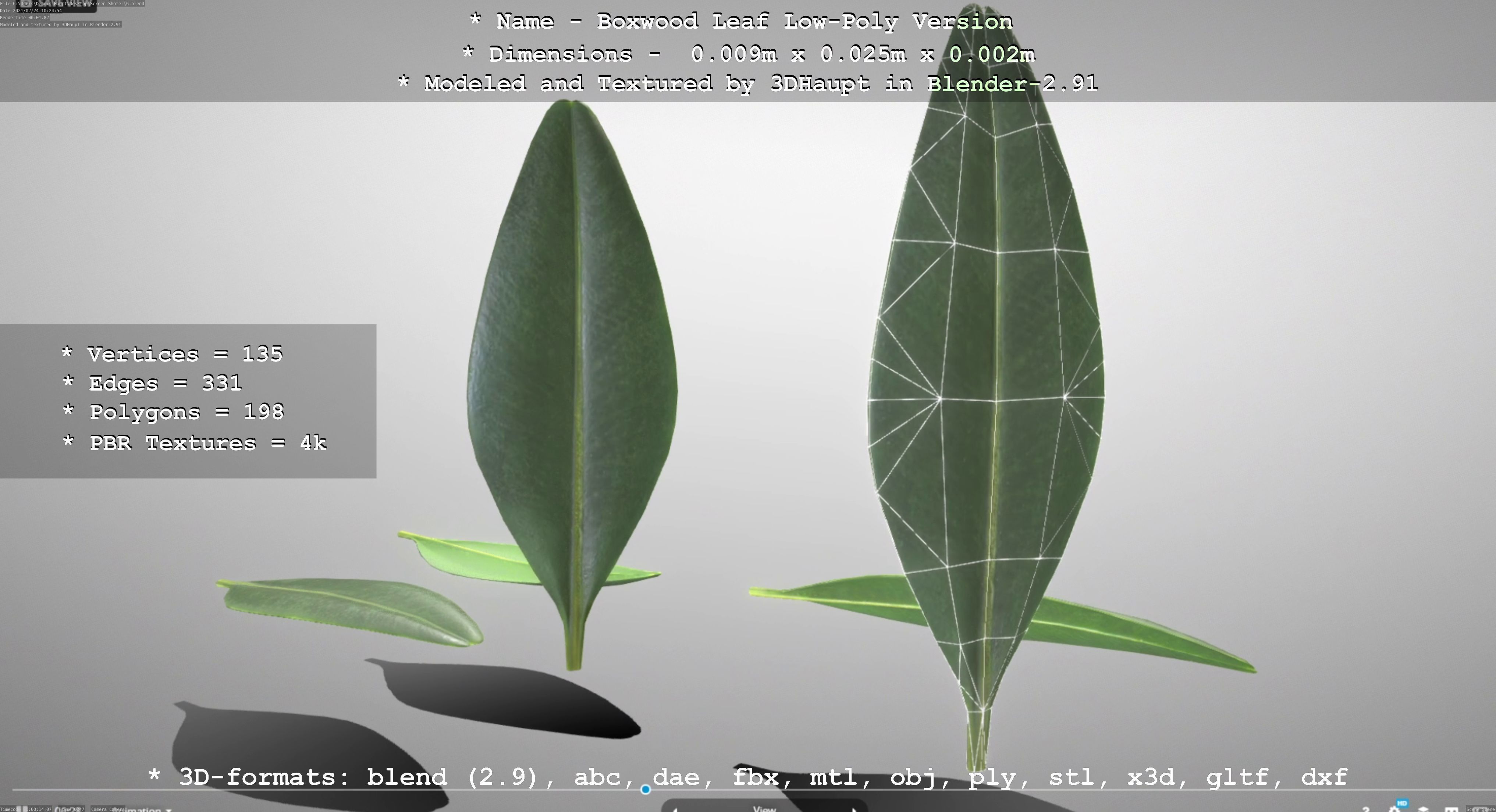 Boxwood Leaf Low-Poly Version Low-poly 3D model_76