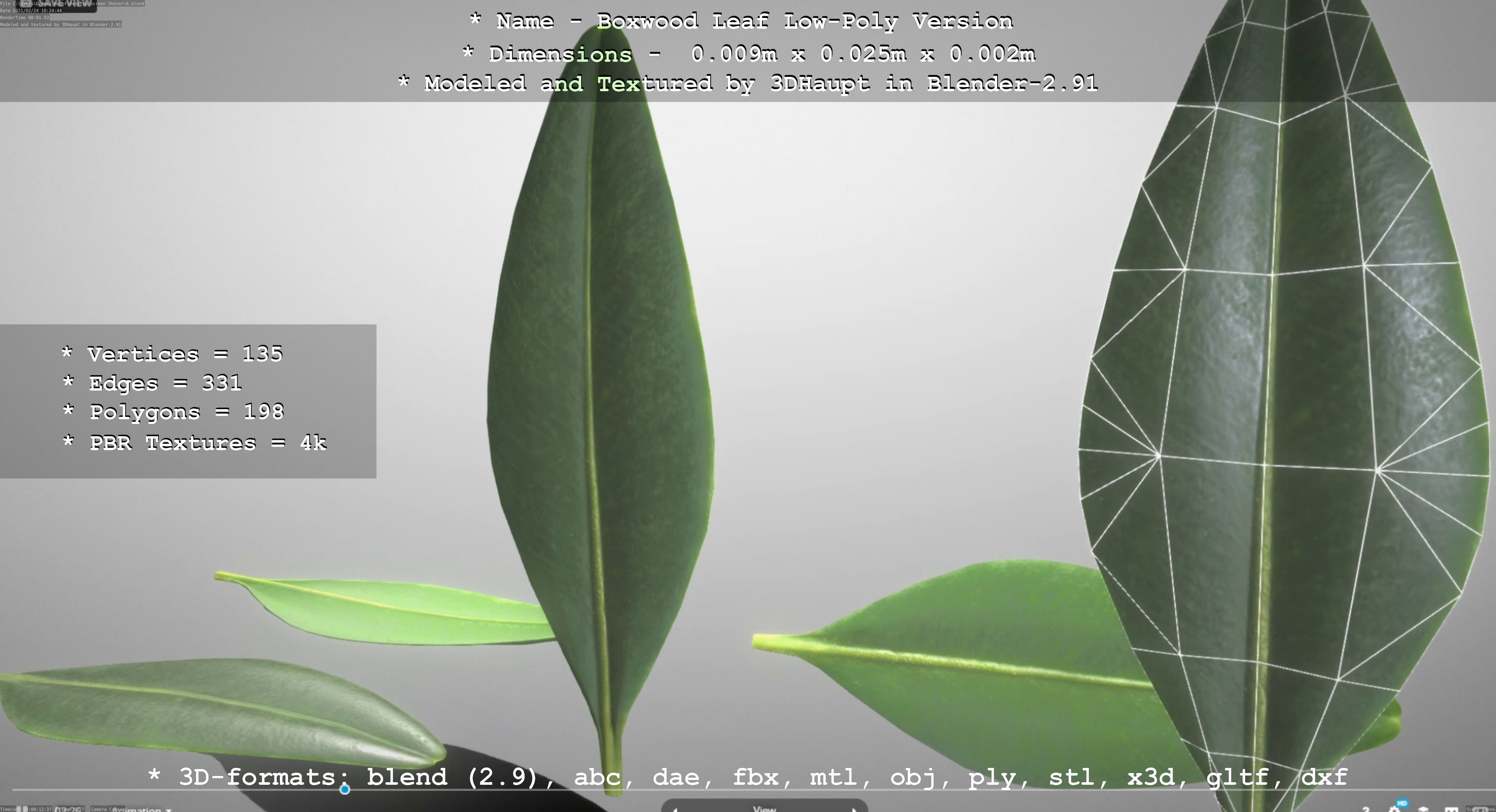 Boxwood Leaf Low-Poly Version Low-poly 3D model_69