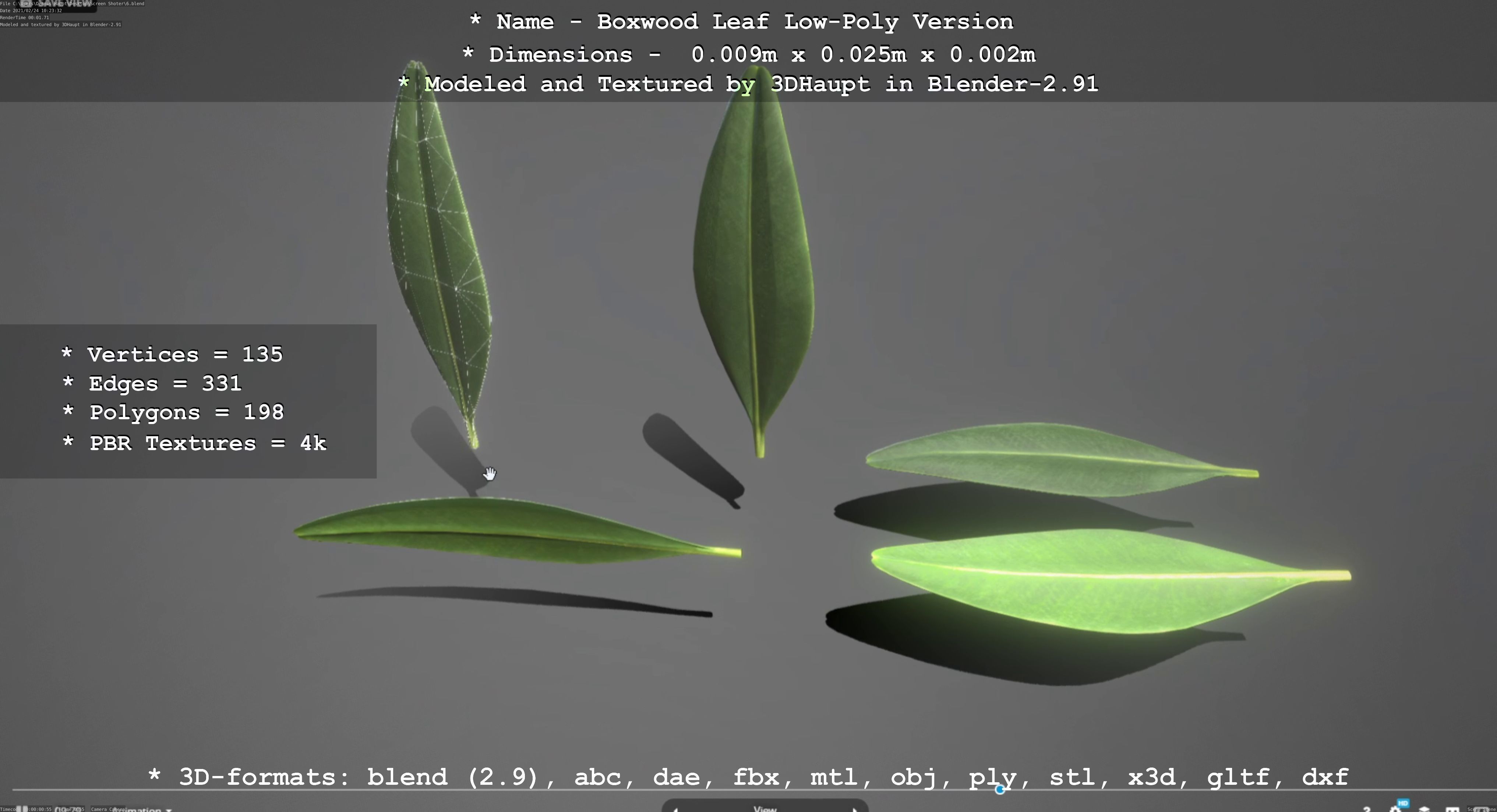 Boxwood Leaf Low-Poly Version Low-poly 3D model_46