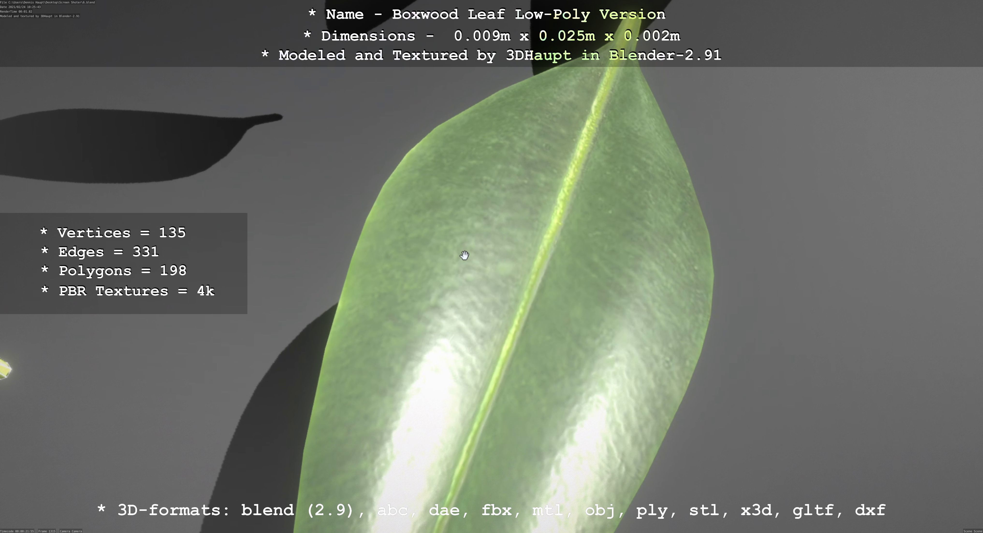 Boxwood Leaf Low-Poly Version Low-poly 3D model_54