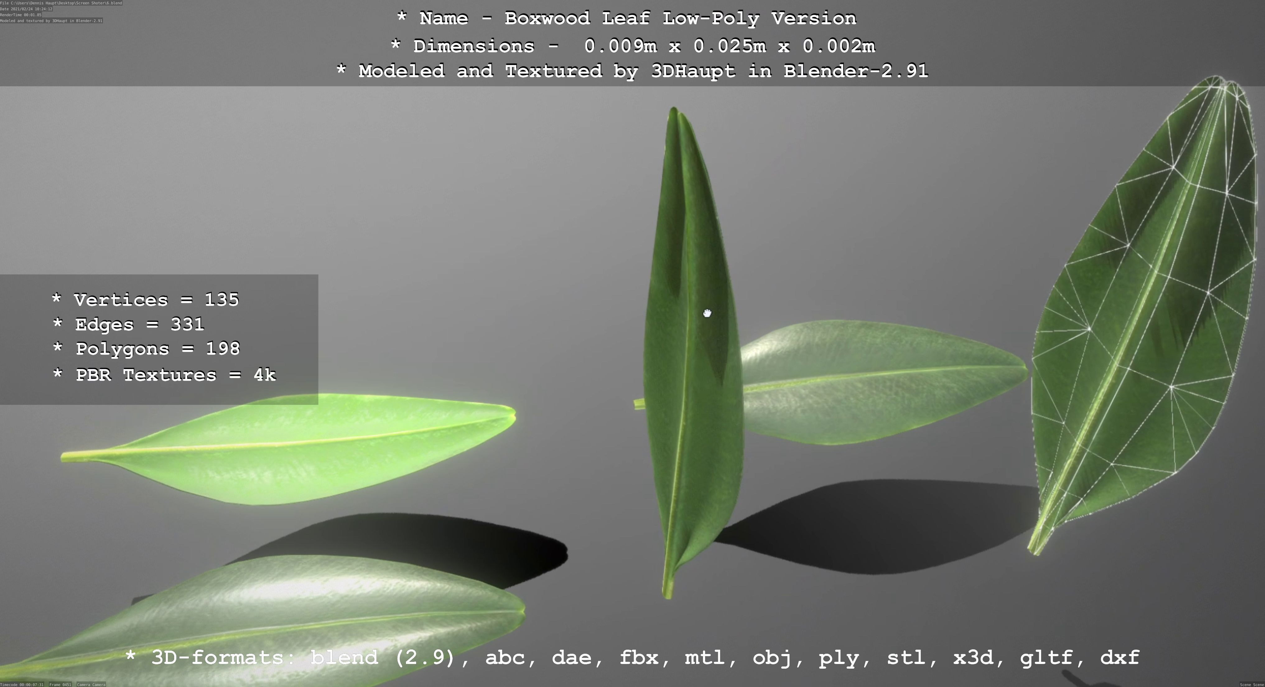 Boxwood Leaf Low-Poly Version Low-poly 3D model_10
