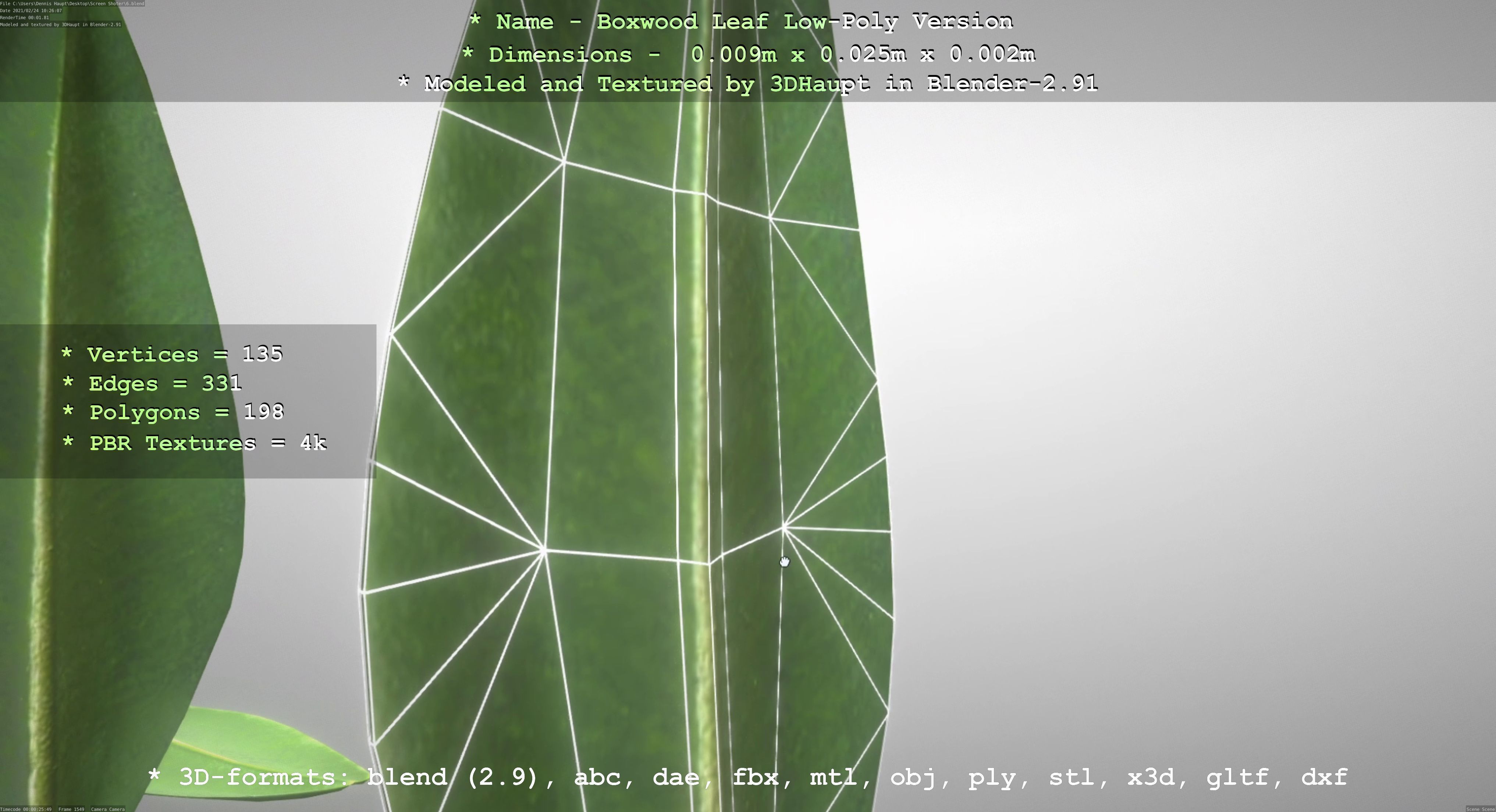 Boxwood Leaf Low-Poly Version Low-poly 3D model_19