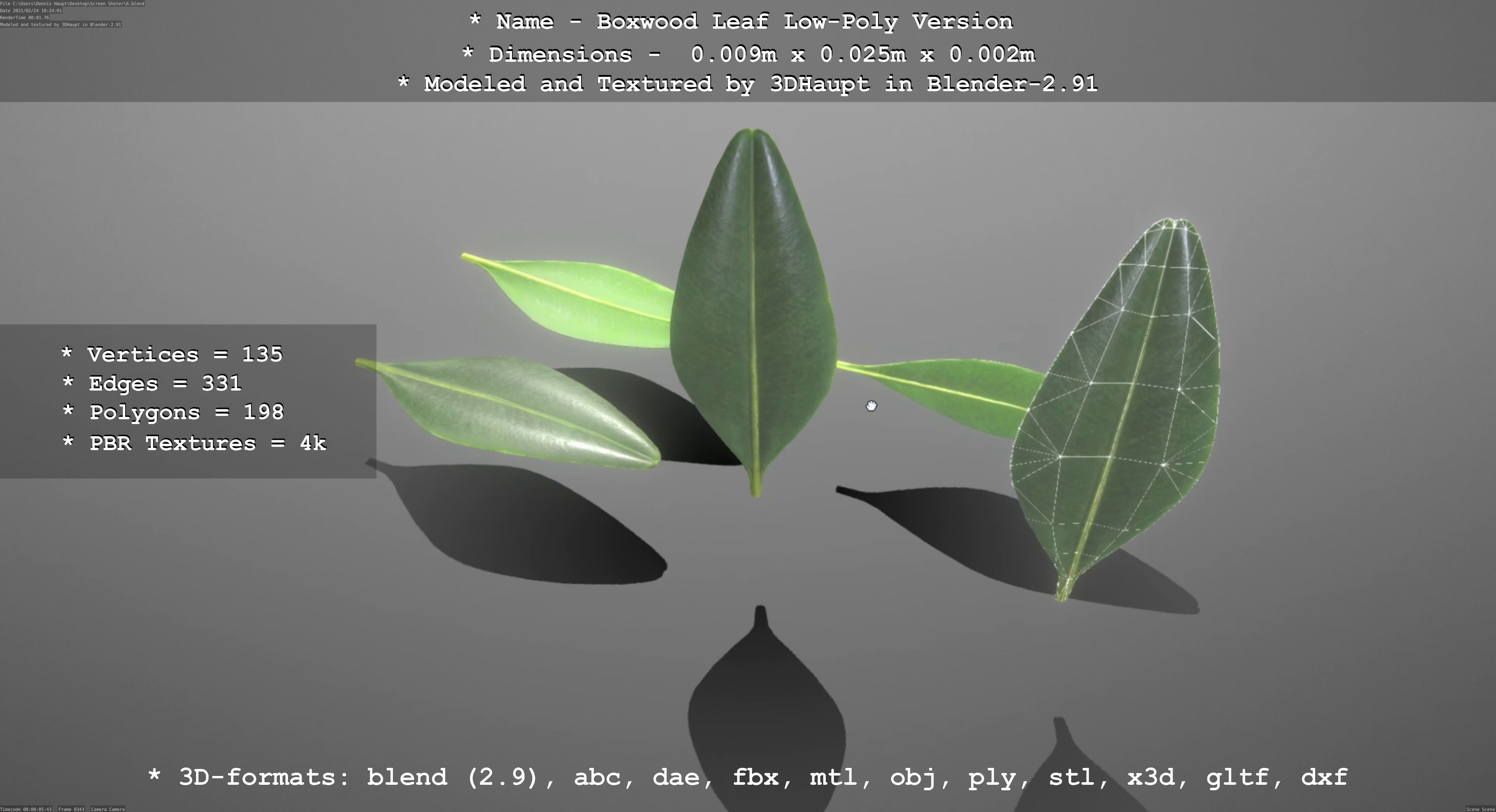 Boxwood Leaf Low-Poly Version Low-poly 3D model_53