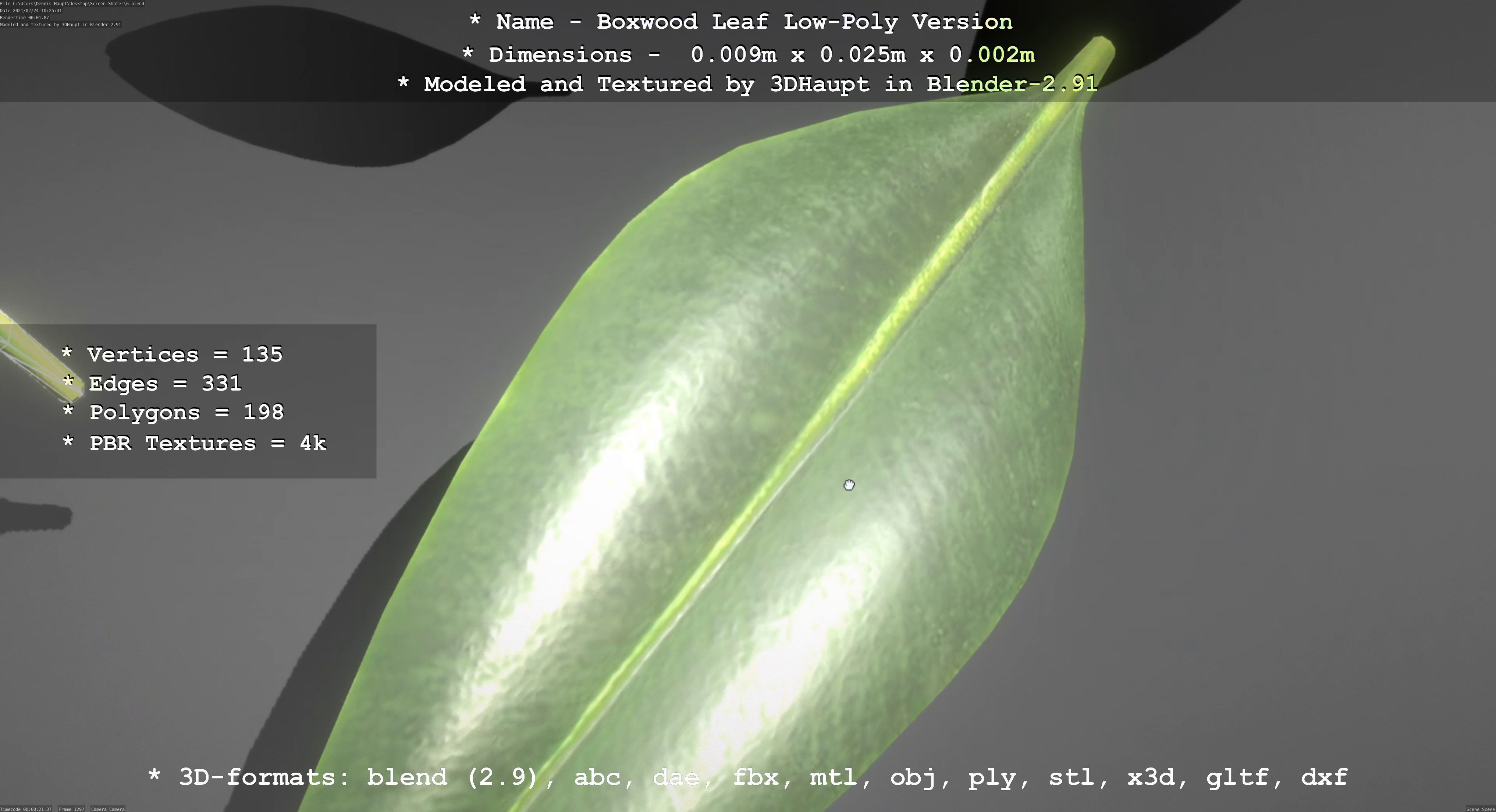 Boxwood Leaf Low-Poly Version Low-poly 3D model_2