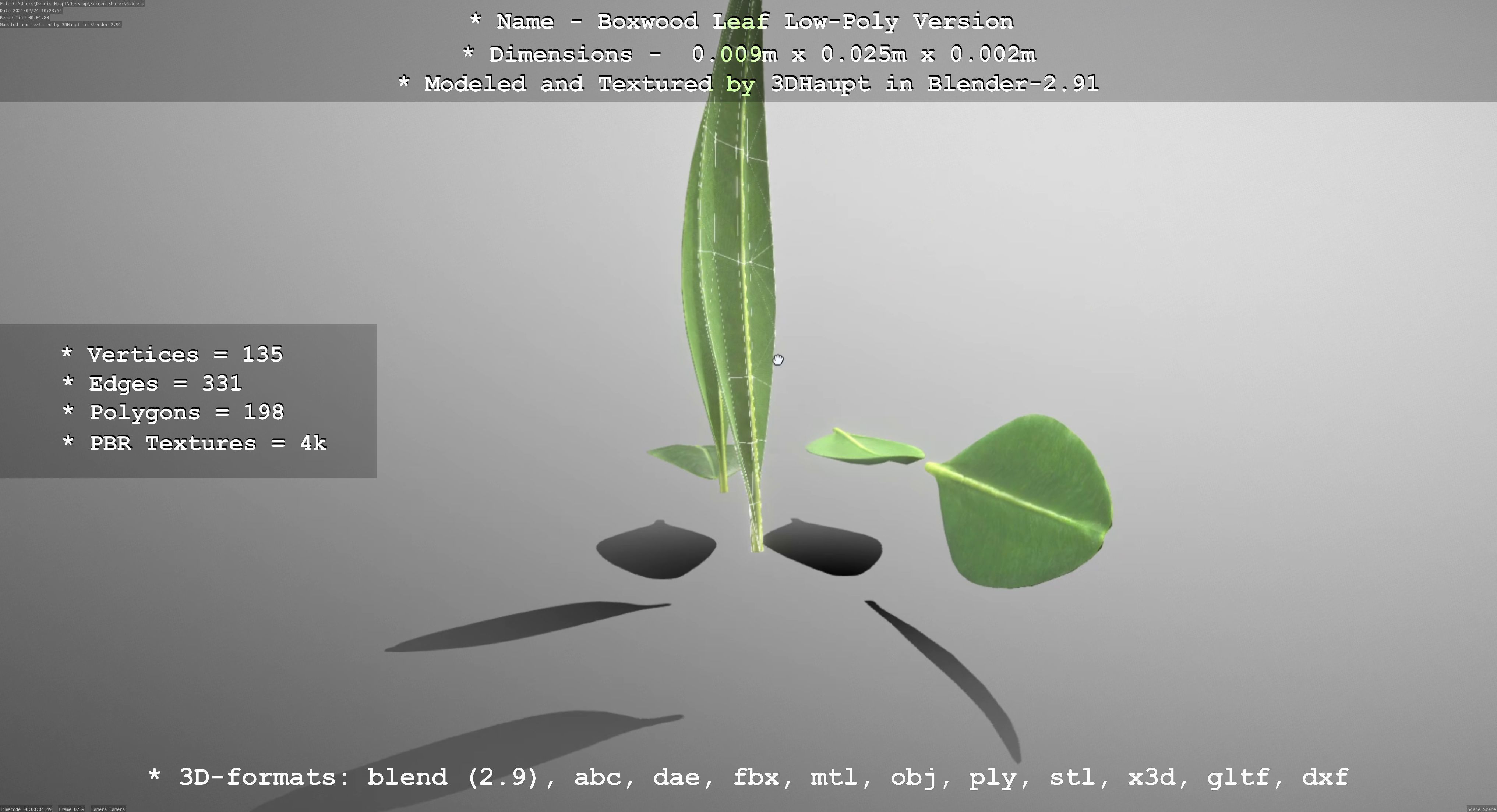 Boxwood Leaf Low-Poly Version Low-poly 3D model_49