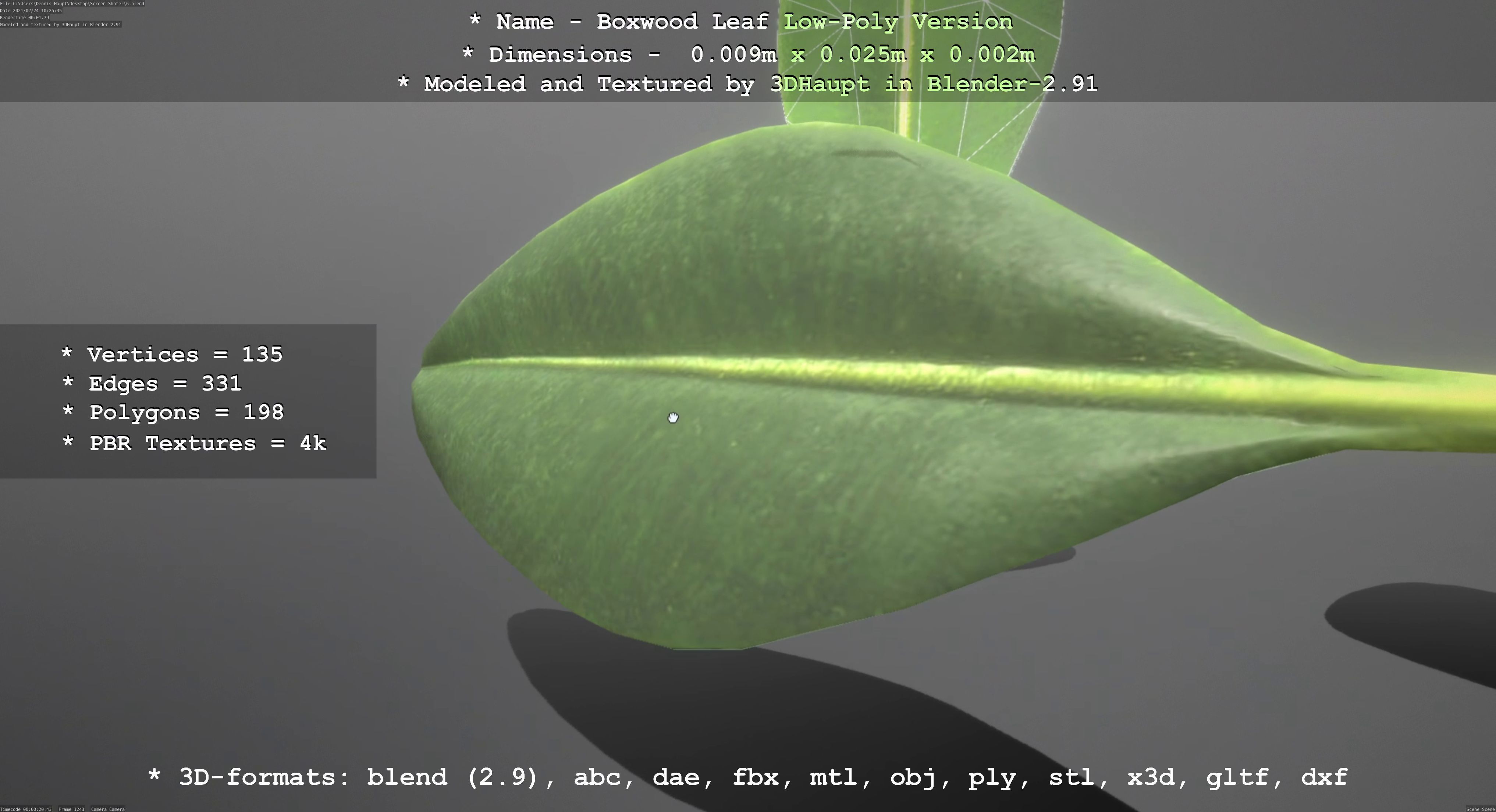 Boxwood Leaf Low-Poly Version Low-poly 3D model_92