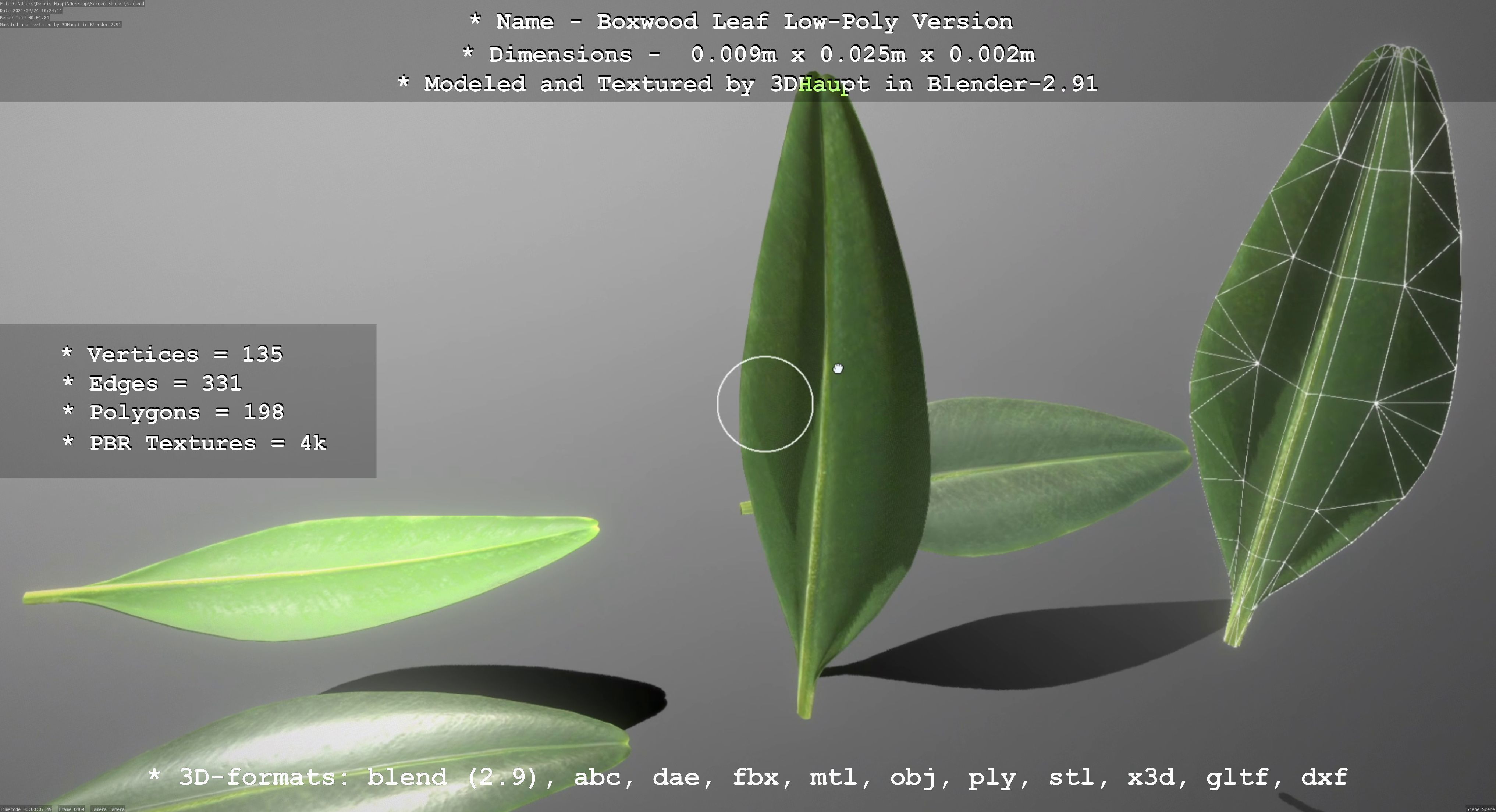 Boxwood Leaf Low-Poly Version Low-poly 3D model_63