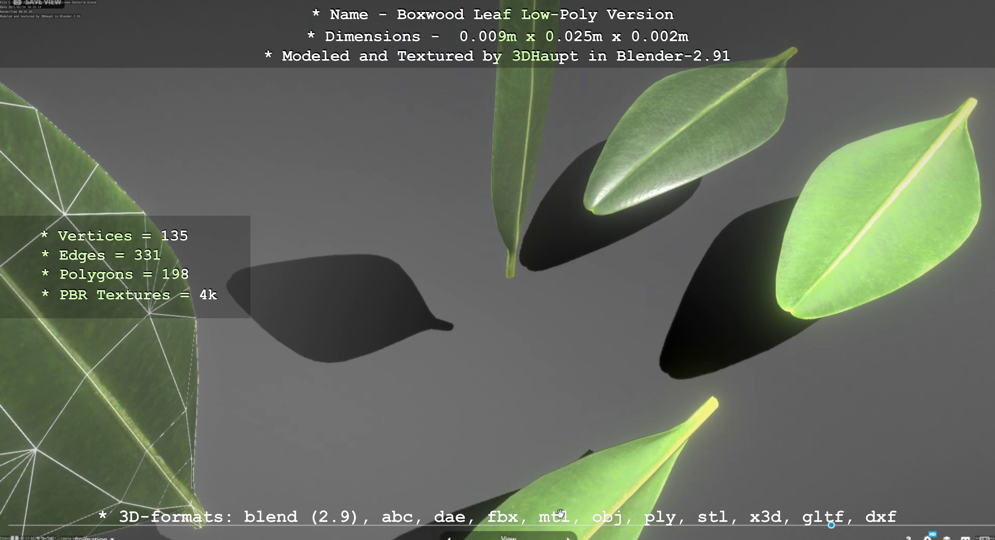 Boxwood Leaf Low-Poly Version Low-poly 3D model_18