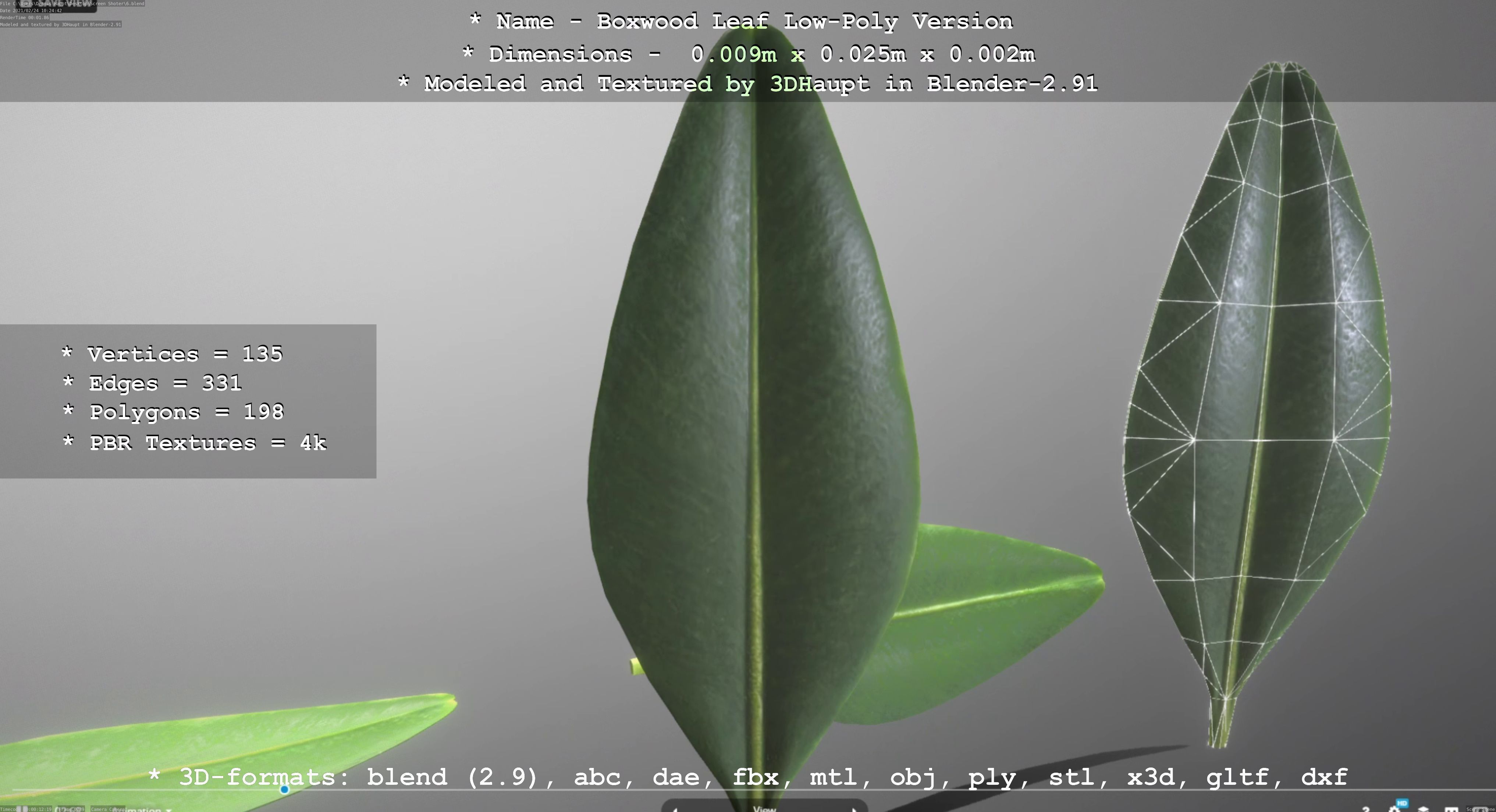 Boxwood Leaf Low-Poly Version Low-poly 3D model_68
