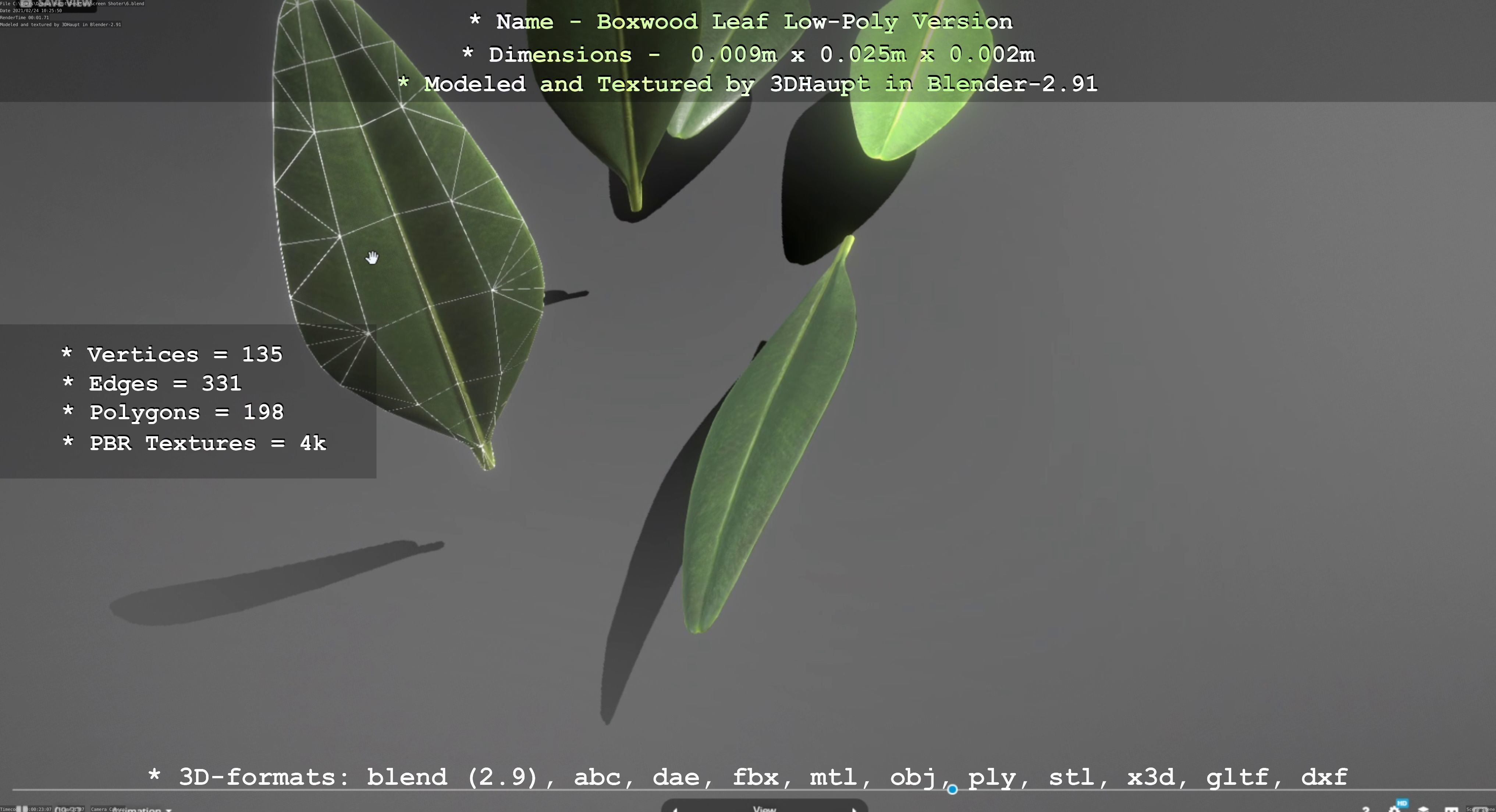 Boxwood Leaf Low-Poly Version Low-poly 3D model_60