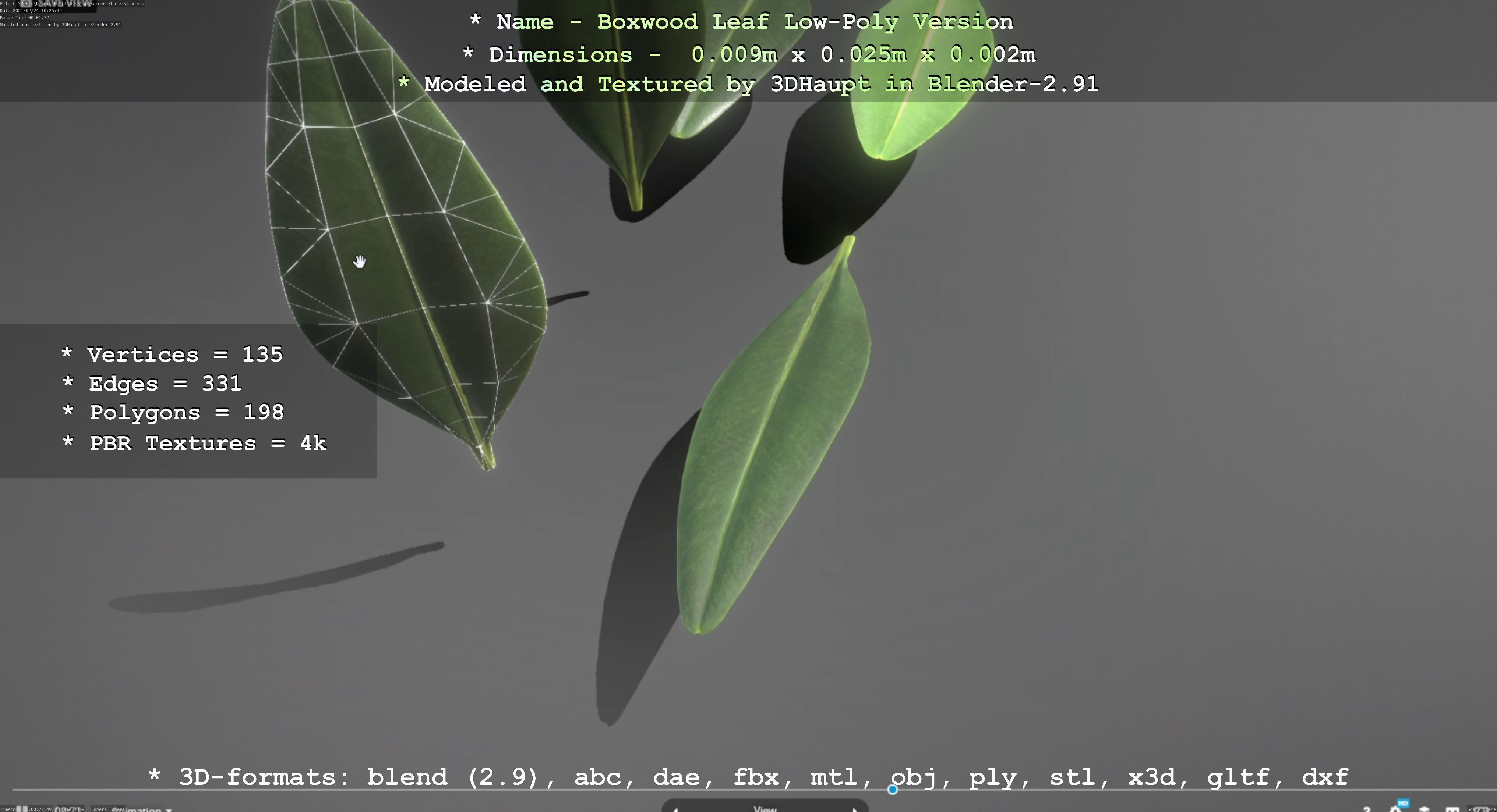 Boxwood Leaf Low-Poly Version Low-poly 3D model_97