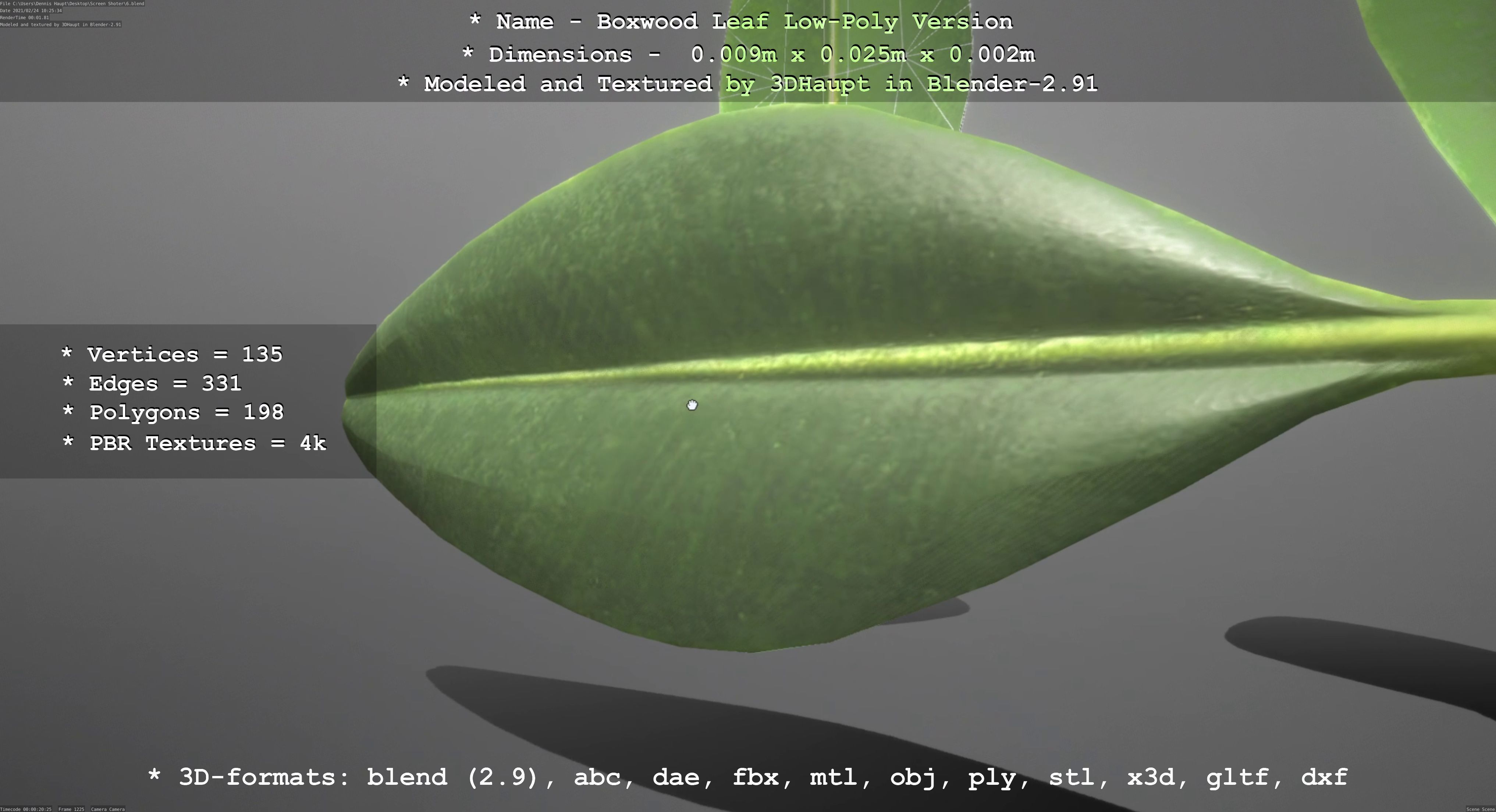Boxwood Leaf Low-Poly Version Low-poly 3D model_91