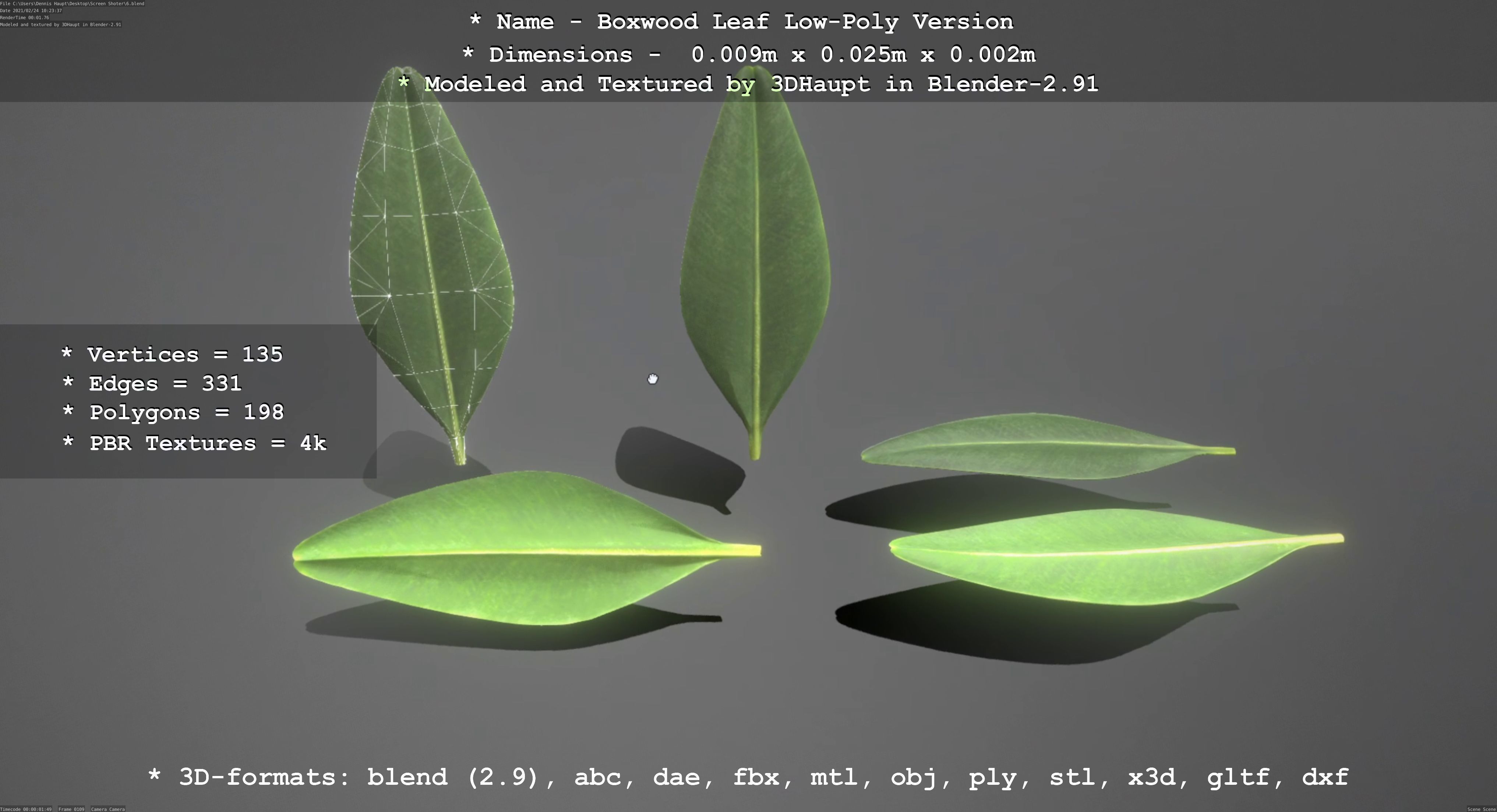 Boxwood Leaf Low-Poly Version Low-poly 3D model_96
