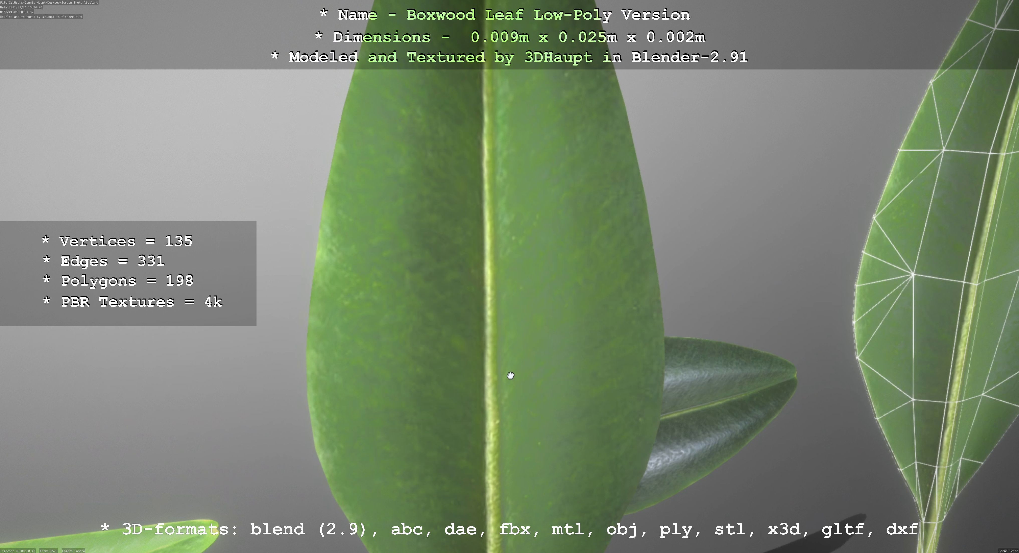 Boxwood Leaf Low-Poly Version Low-poly 3D model_11