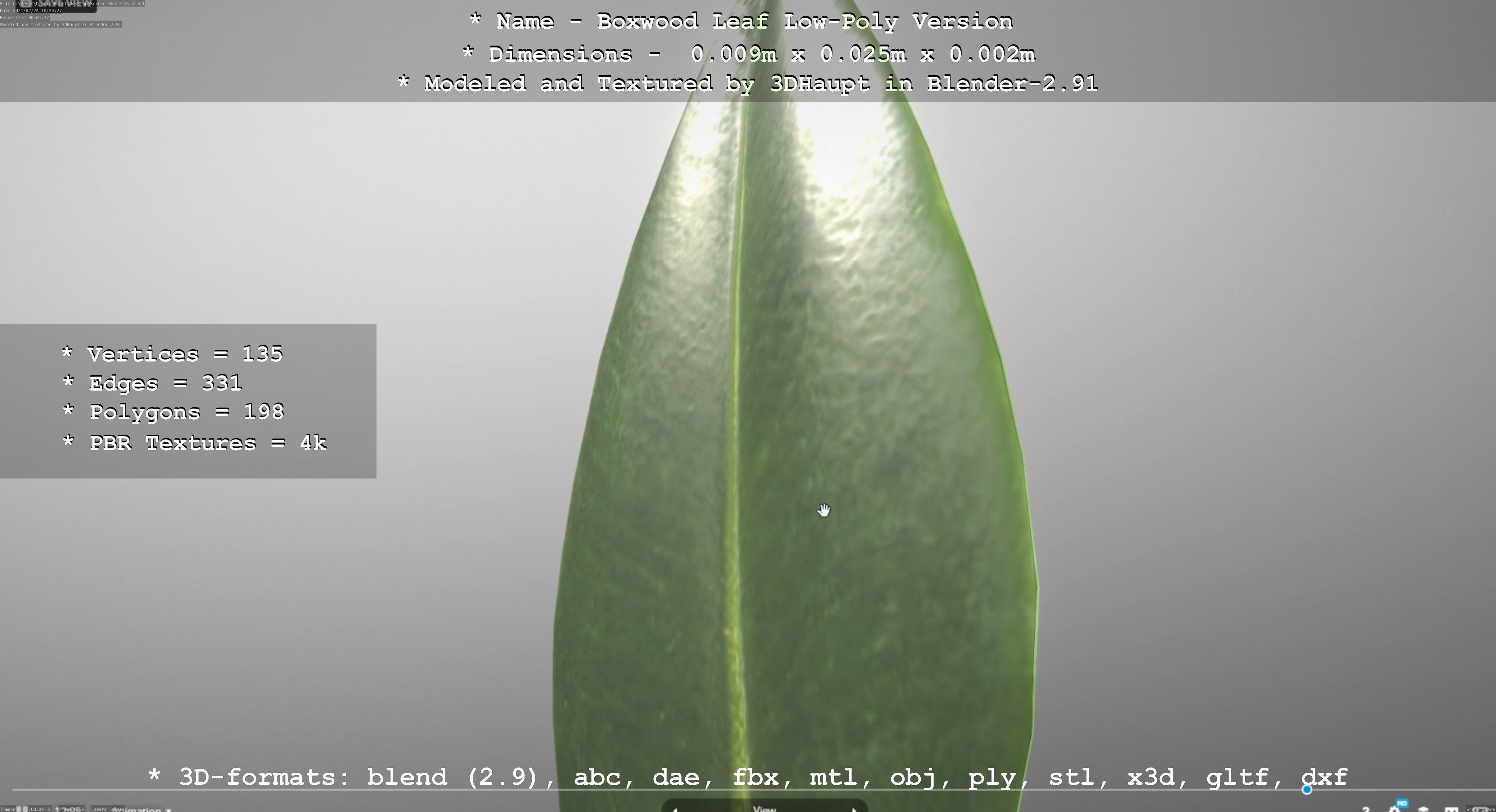 Boxwood Leaf Low-Poly Version Low-poly 3D model_13