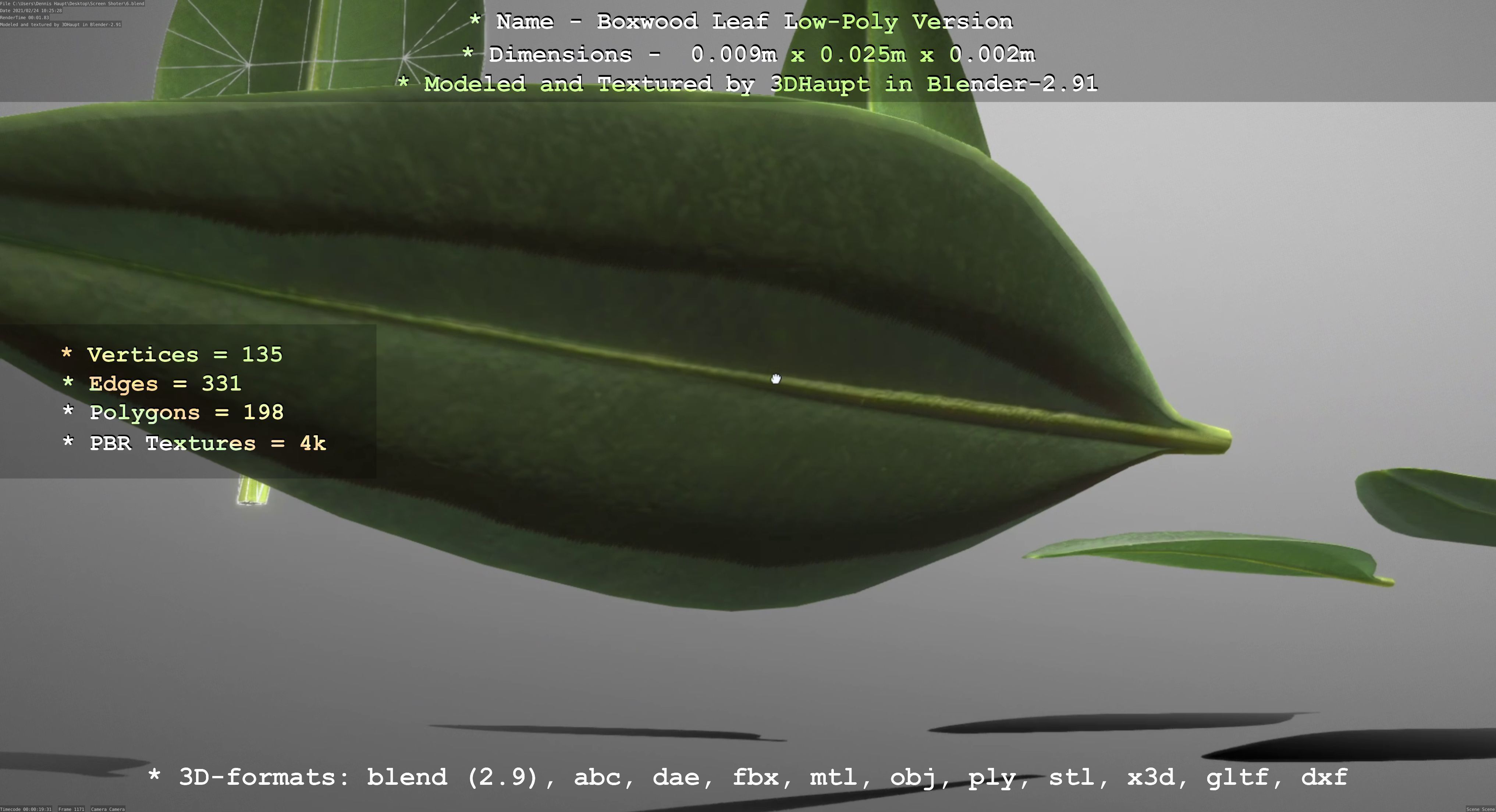 Boxwood Leaf Low-Poly Version Low-poly 3D model_87