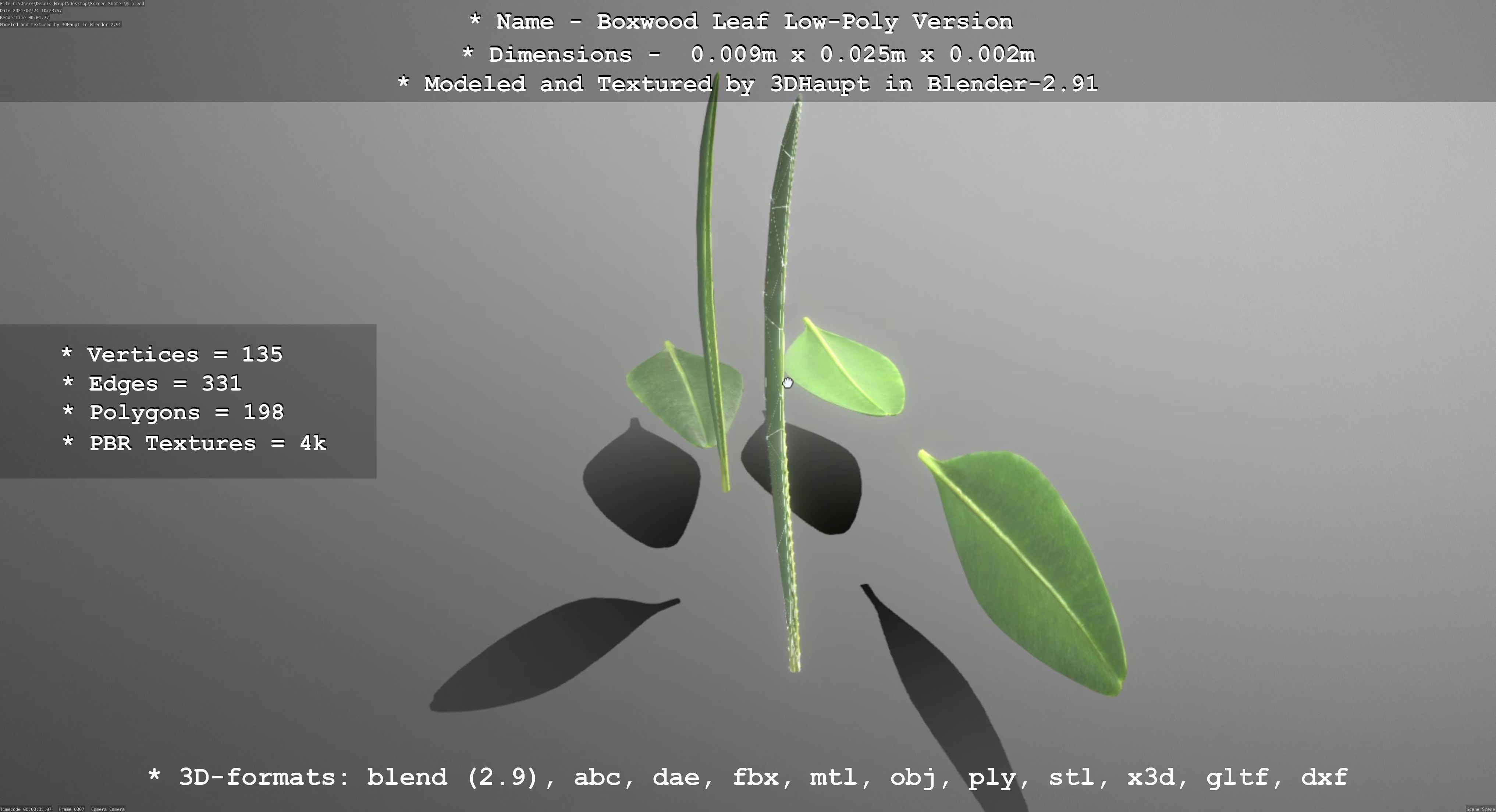 Boxwood Leaf Low-Poly Version Low-poly 3D model_50