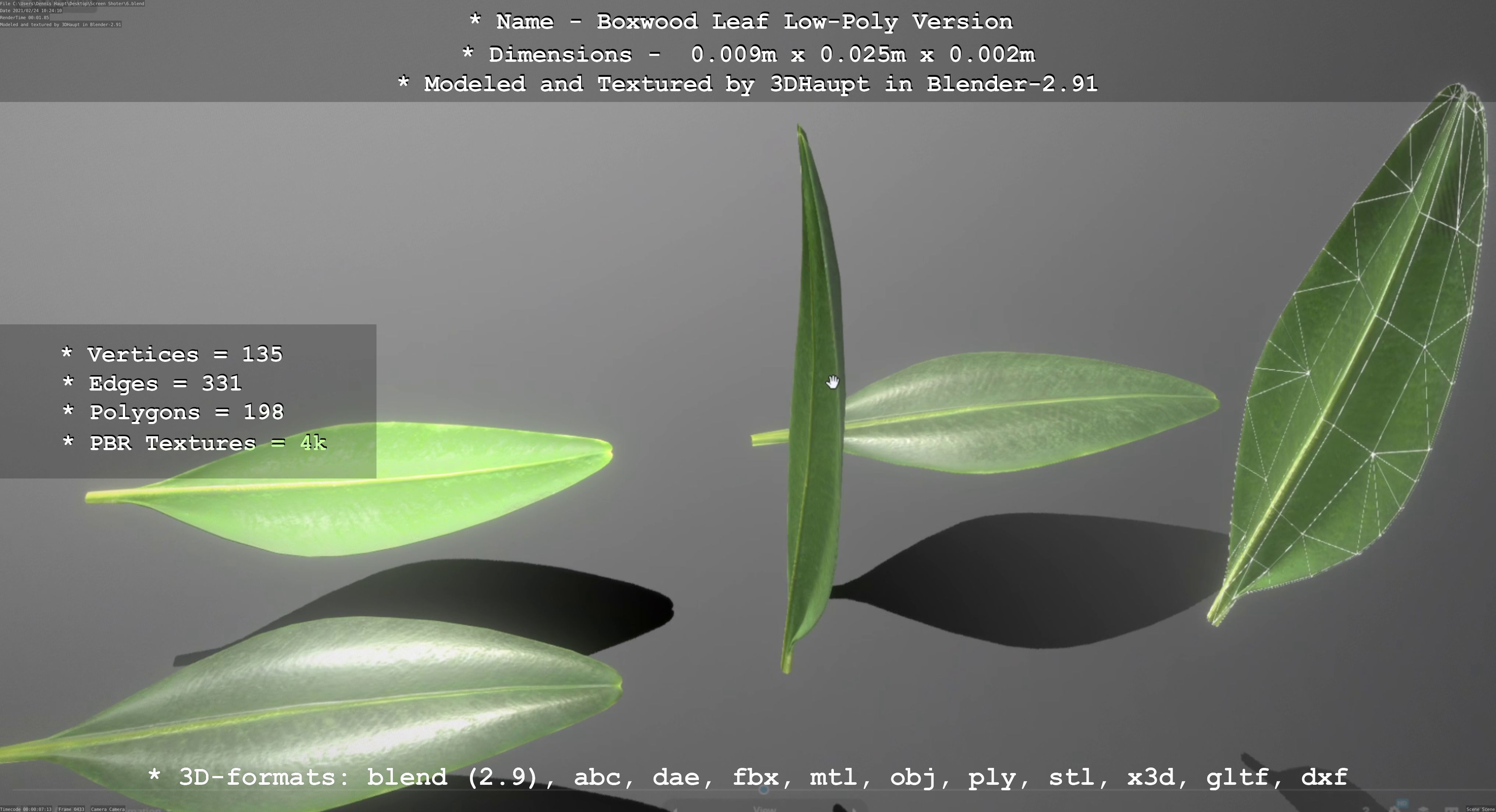Boxwood Leaf Low-Poly Version Low-poly 3D model_61