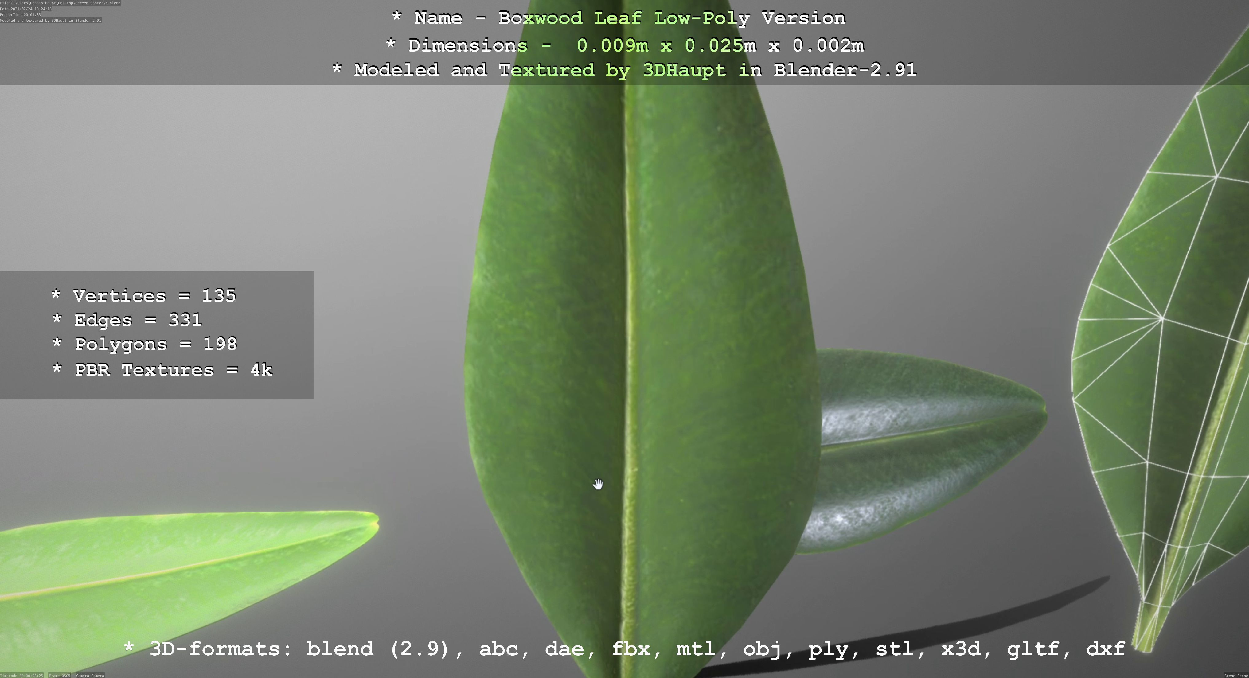 Boxwood Leaf Low-Poly Version Low-poly 3D model_65