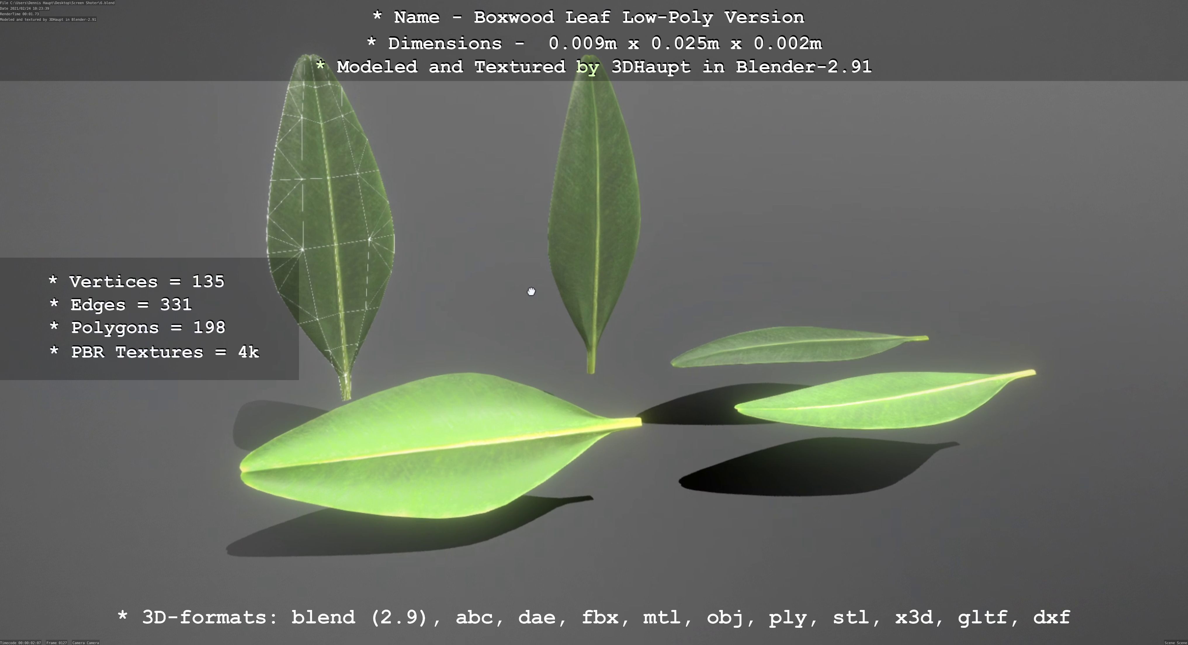 Boxwood Leaf Low-Poly Version Low-poly 3D model_48