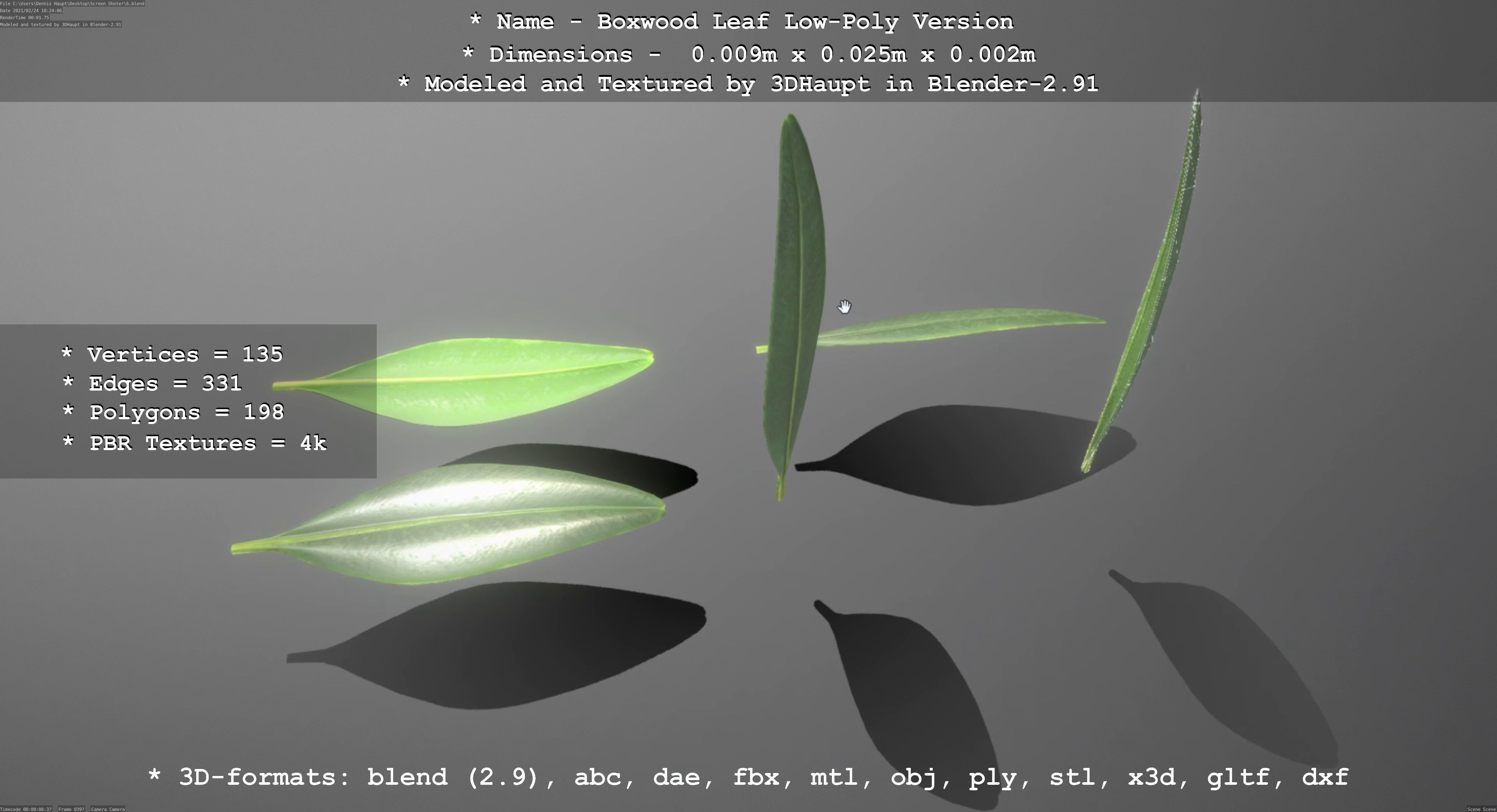 Boxwood Leaf Low-Poly Version Low-poly 3D model_56