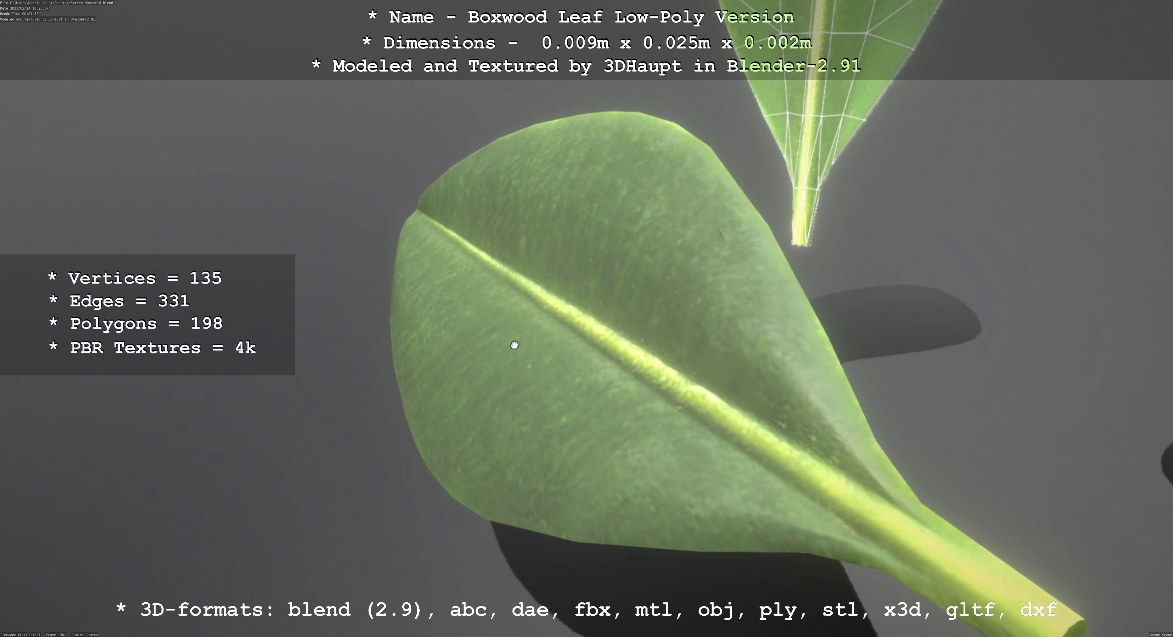 Boxwood Leaf Low-Poly Version Low-poly 3D model_93