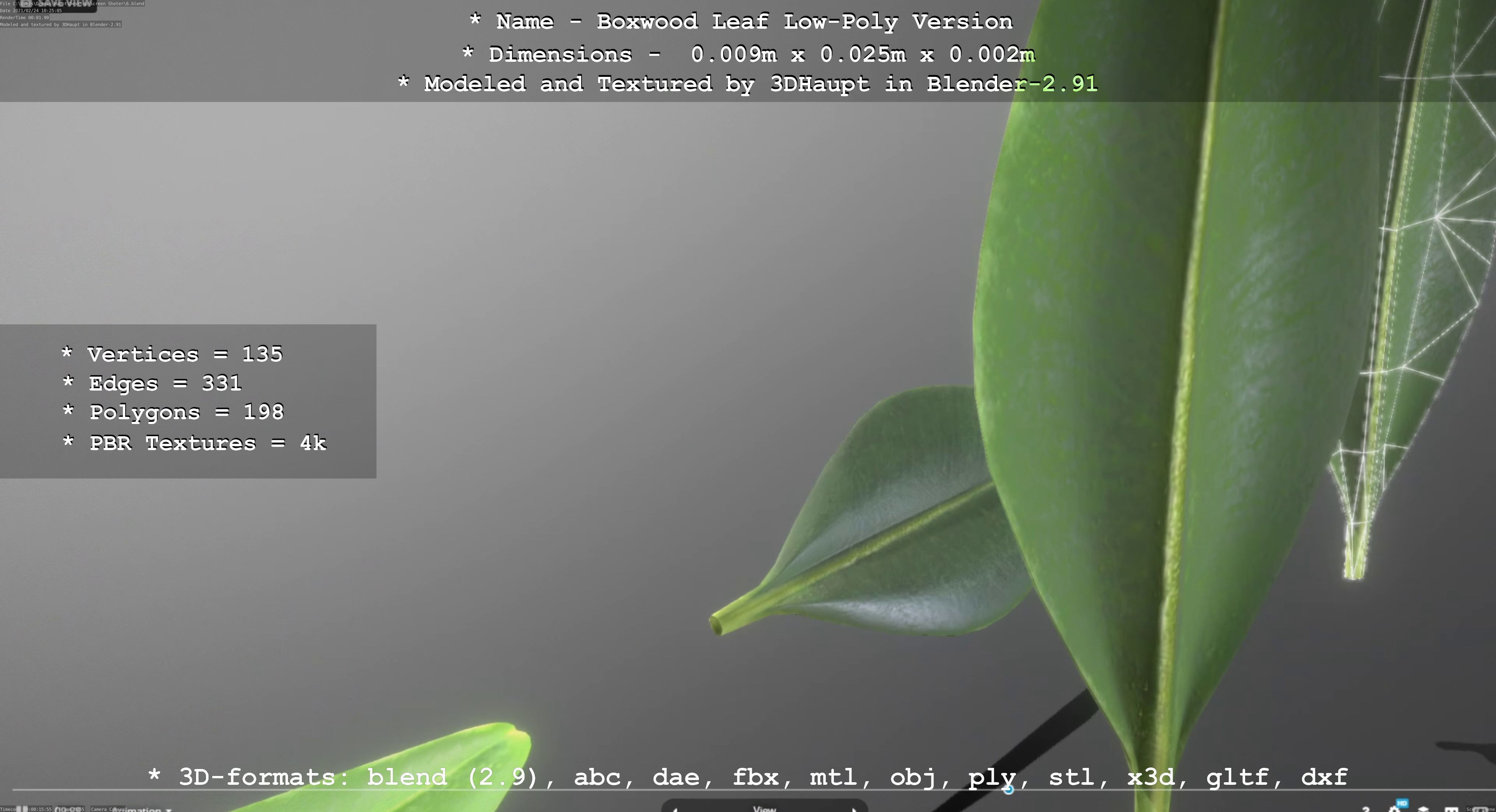 Boxwood Leaf Low-Poly Version Low-poly 3D model_81