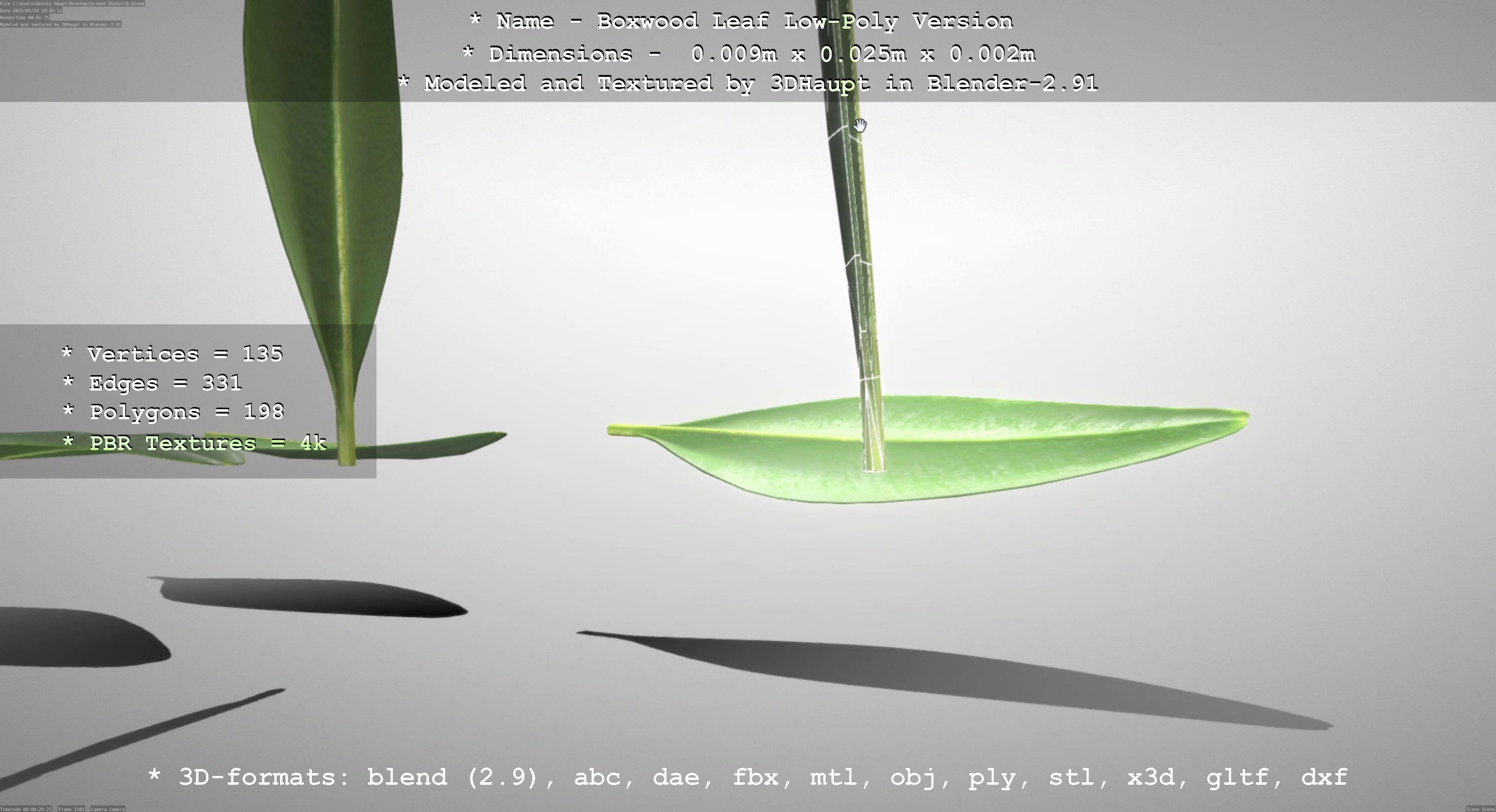 Boxwood Leaf Low-Poly Version Low-poly 3D model_99