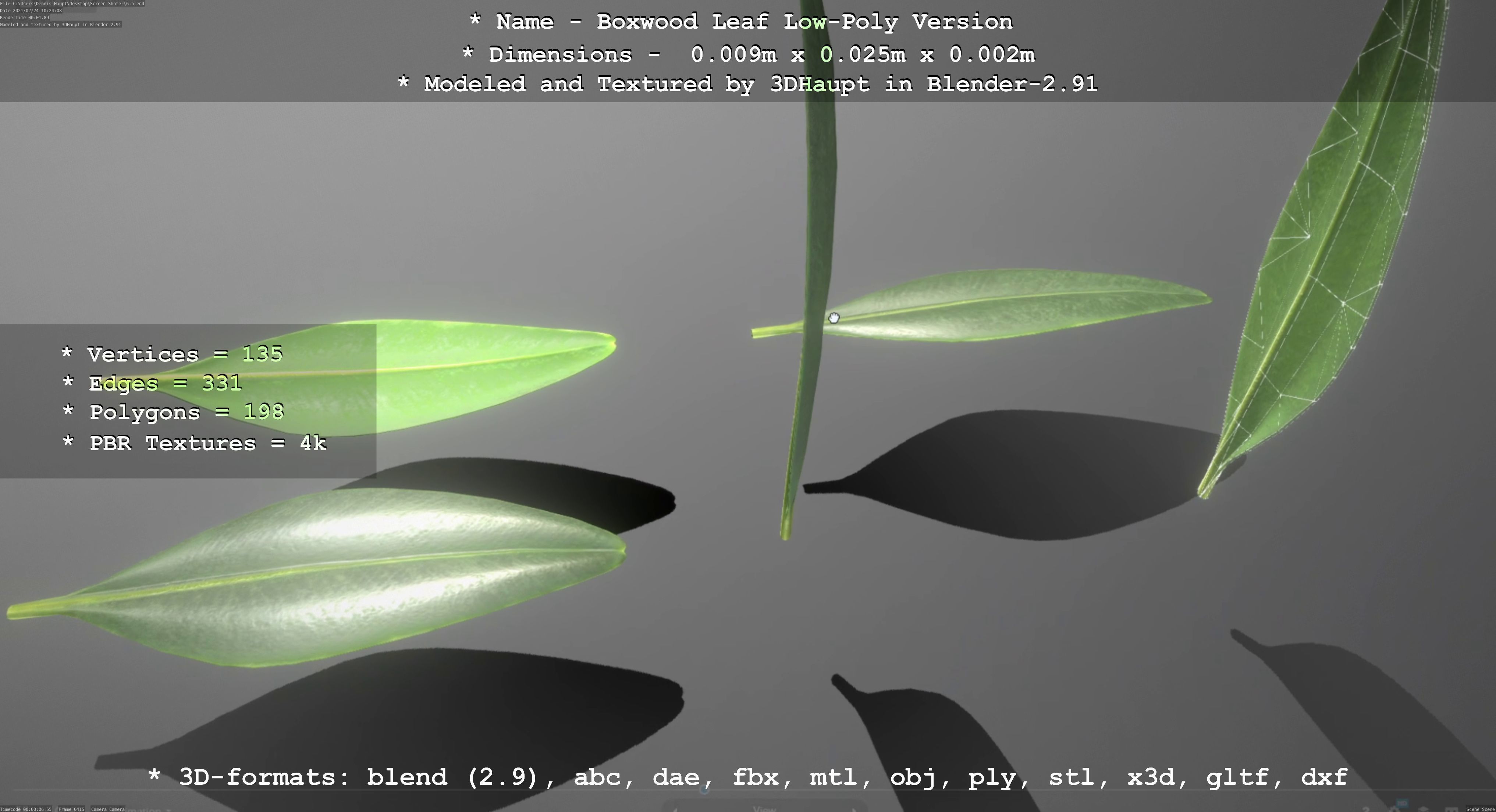 Boxwood Leaf Low-Poly Version Low-poly 3D model_58