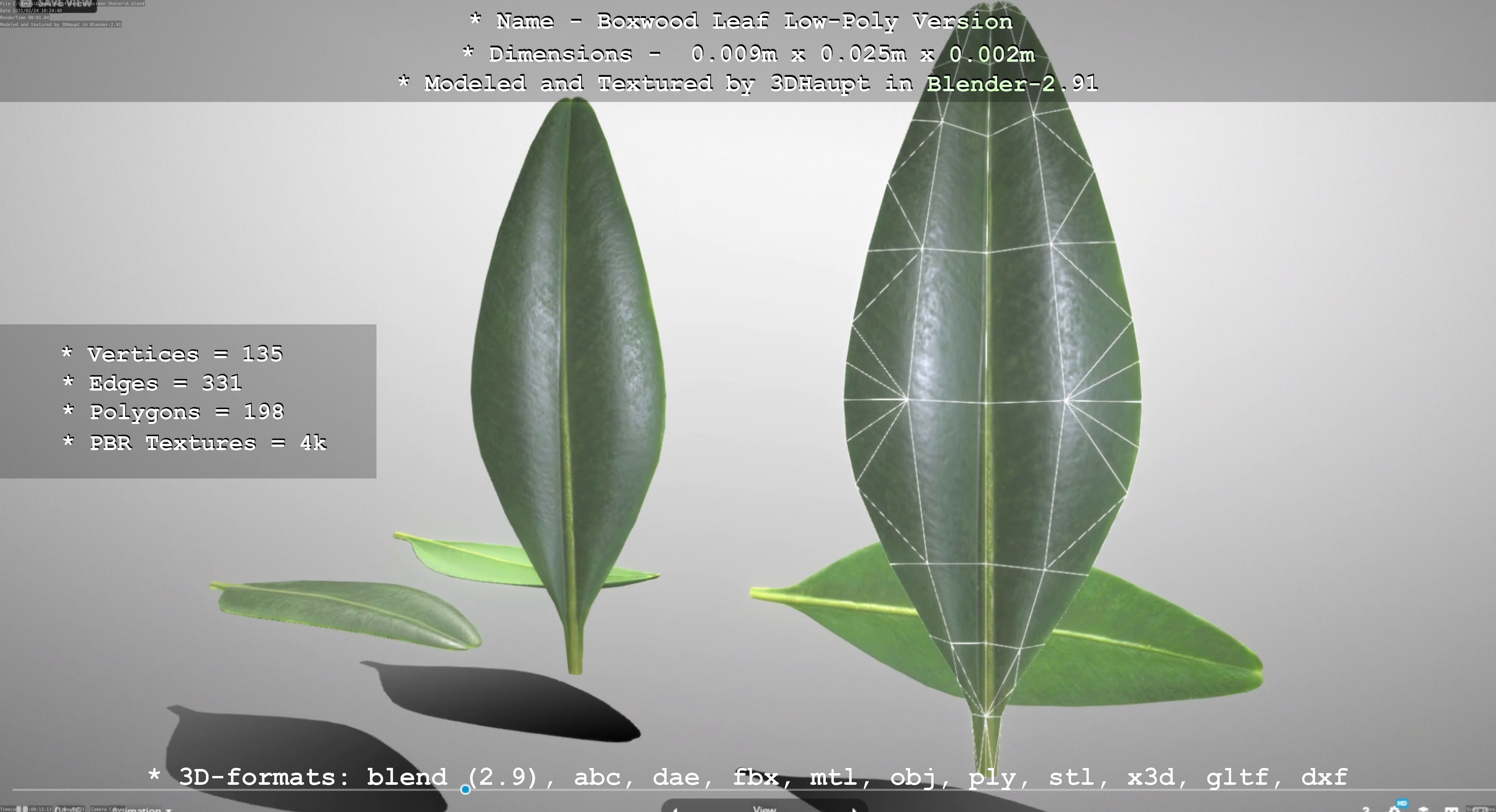 Boxwood Leaf Low-Poly Version Low-poly 3D model_73